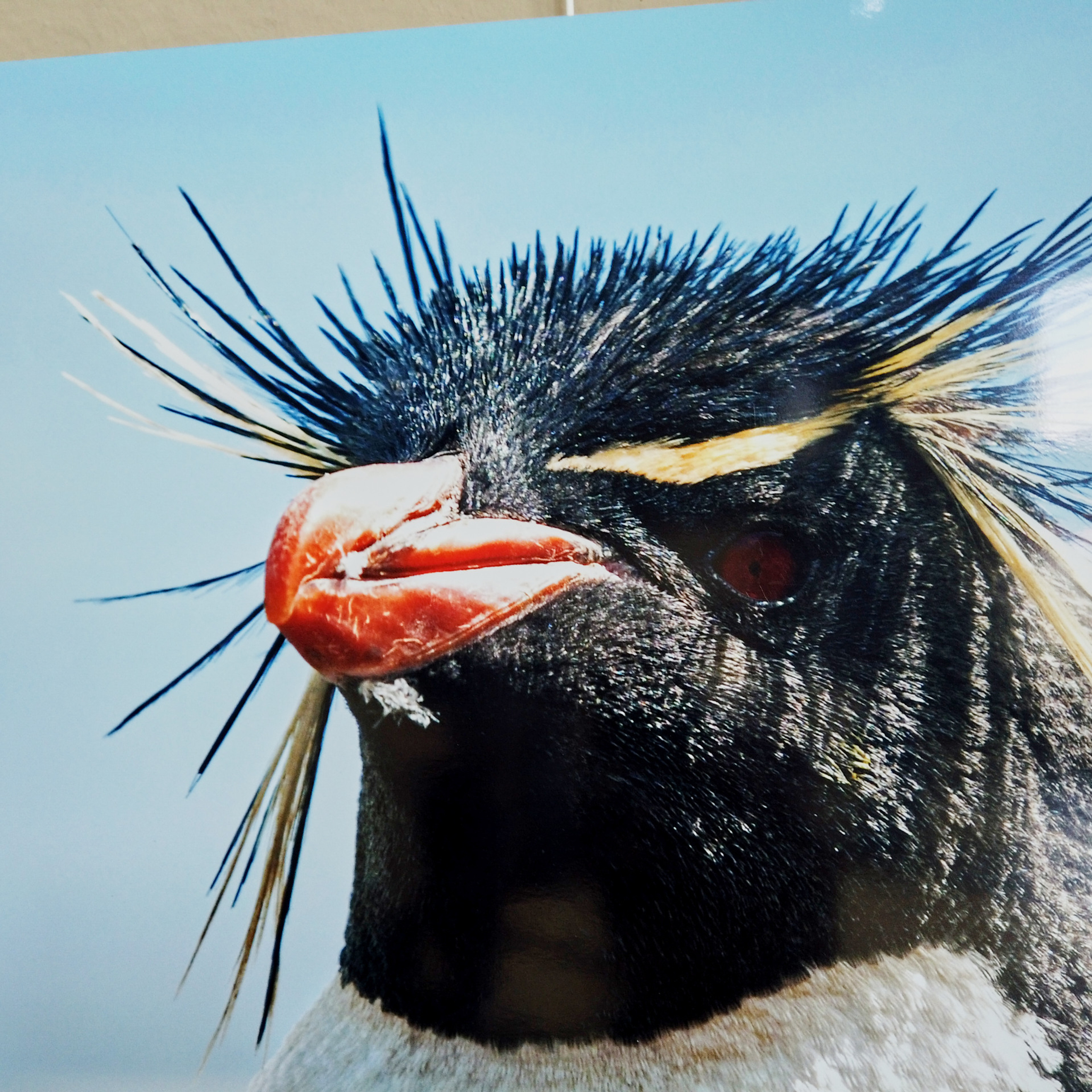 Патагония 2019. Айгуль Лотфуллина. #АйгульТВ. Фотограф в Адлере и Сочи, Красной Поляне