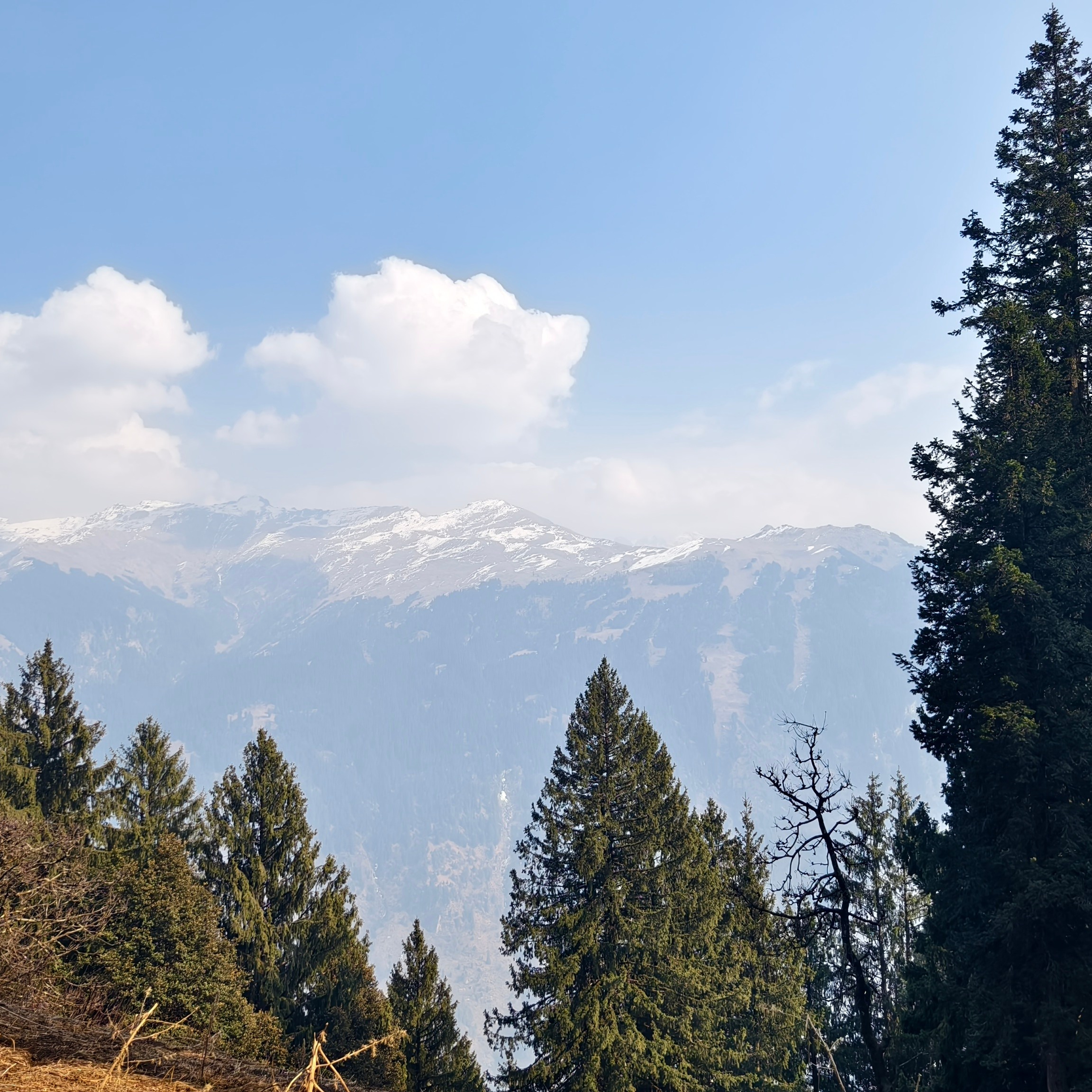 Путешествие в Долину Богов — Манали. Айгуль Лотфуллина. #АйгульТВ. Фотограф в Адлере и Сочи, Красной Поляне