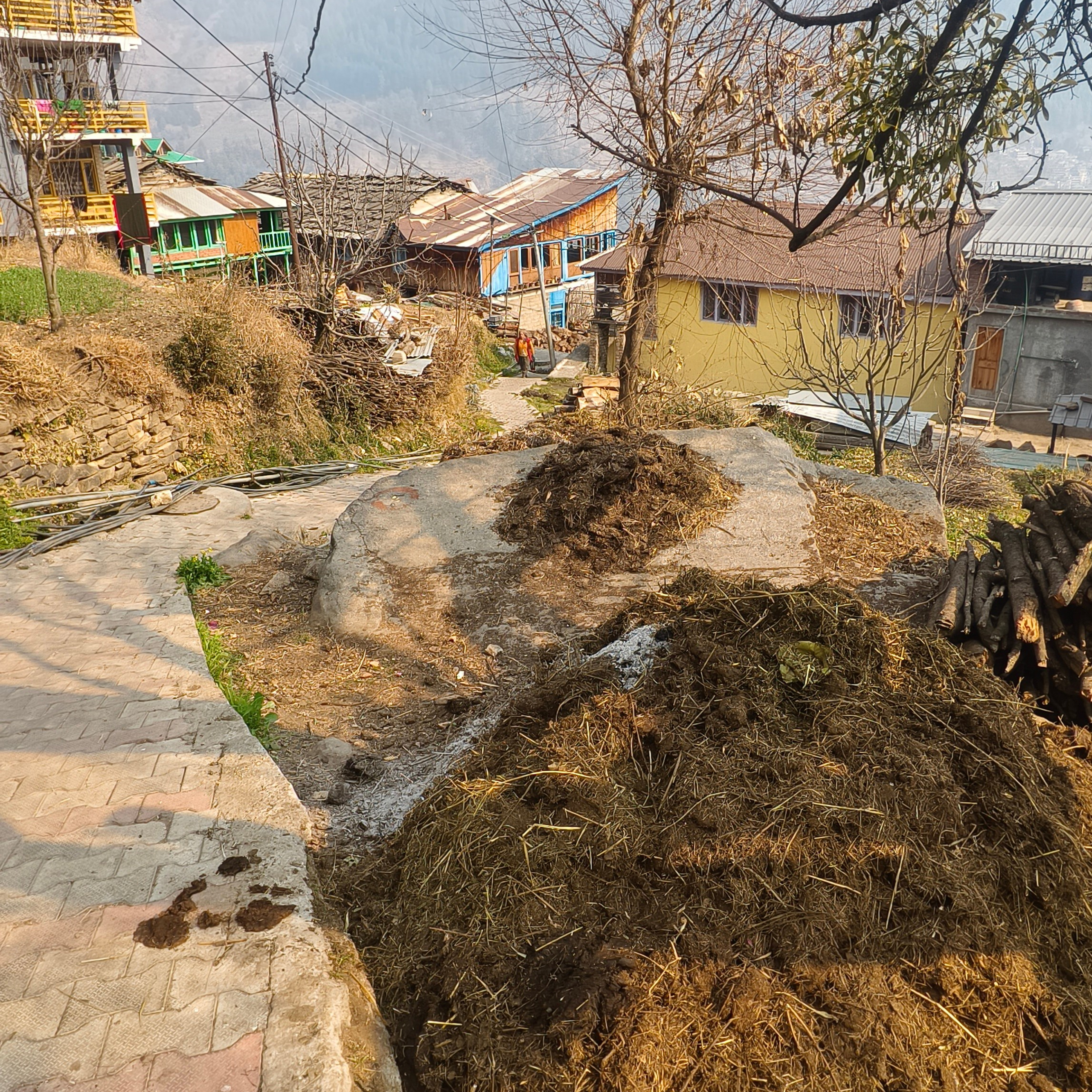 Путешествие в Долину Богов — Манали. Айгуль Лотфуллина. #АйгульТВ. Фотограф в Адлере и Сочи, Красной Поляне