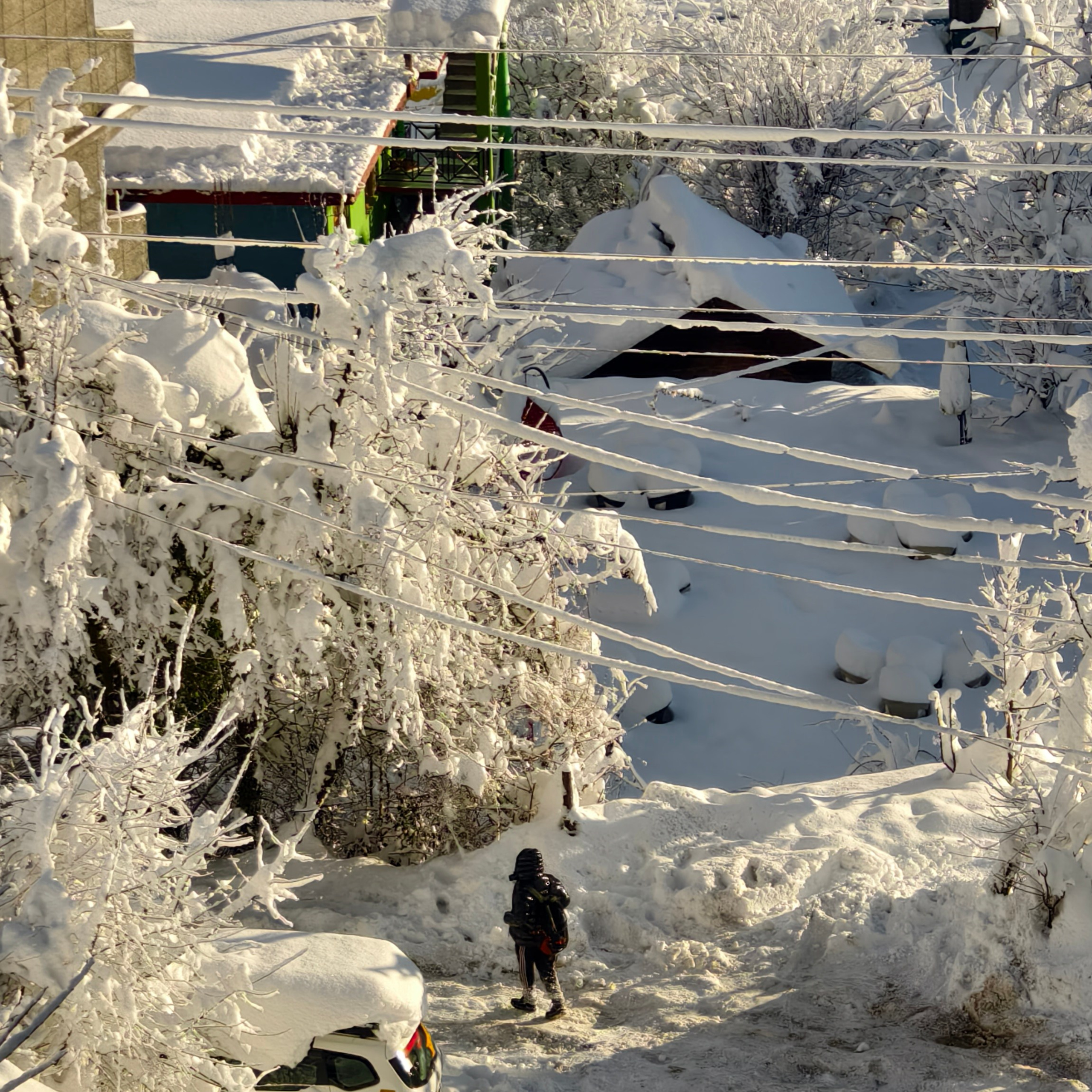 Путешествие в Долину Богов — Манали. Айгуль Лотфуллина. #АйгульТВ. Фотограф в Адлере и Сочи, Красной Поляне