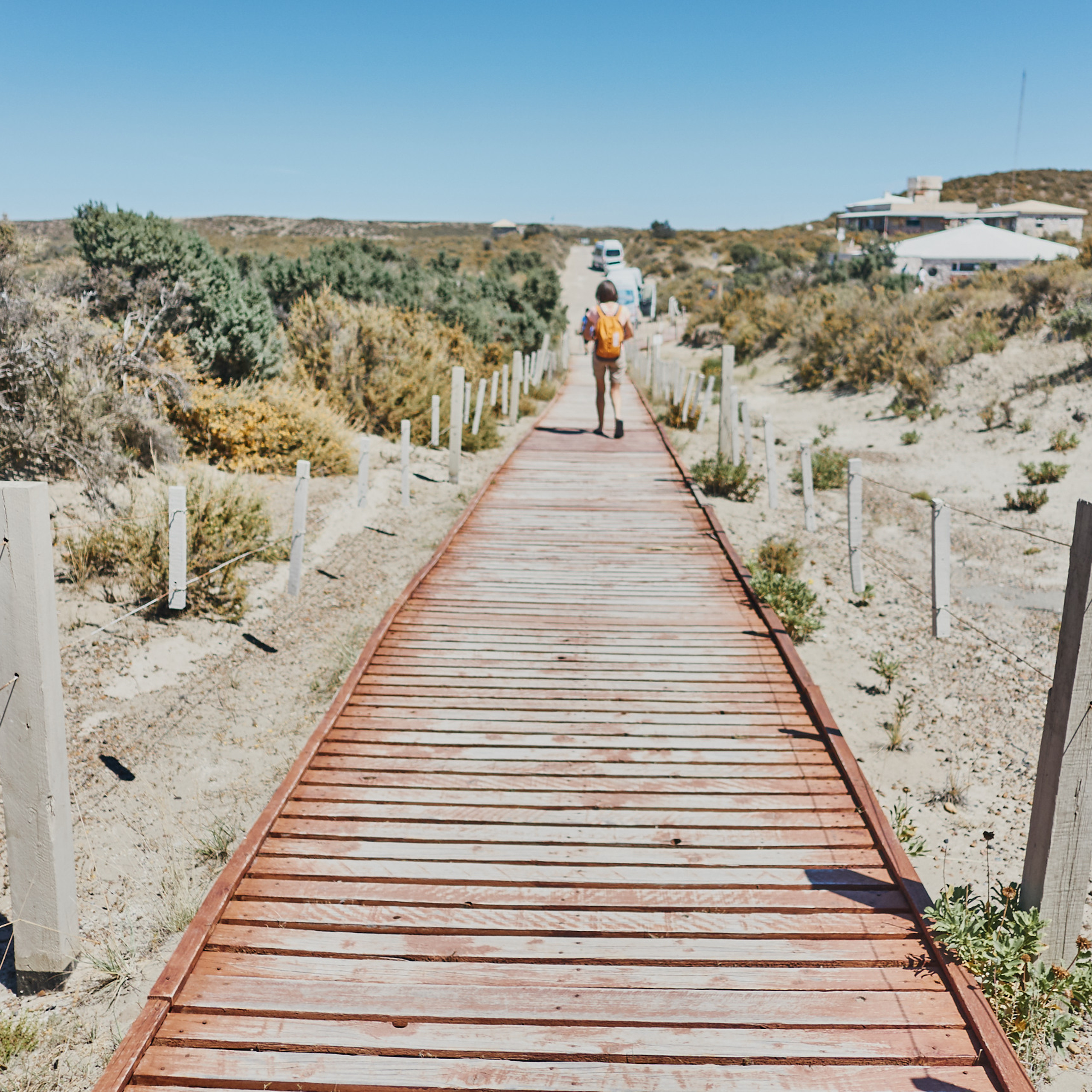 Патагония 2019. Айгуль Лотфуллина. #АйгульТВ. Фотограф в Адлере и Сочи, Красной Поляне