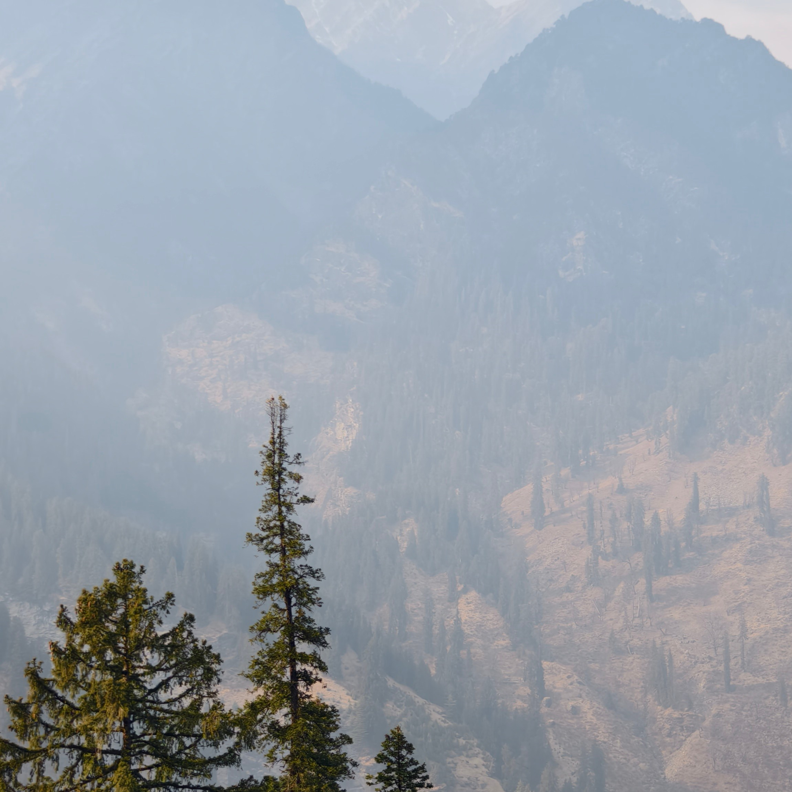 Путешествие в Долину Богов — Манали. Айгуль Лотфуллина. #АйгульТВ. Фотограф в Адлере и Сочи, Красной Поляне