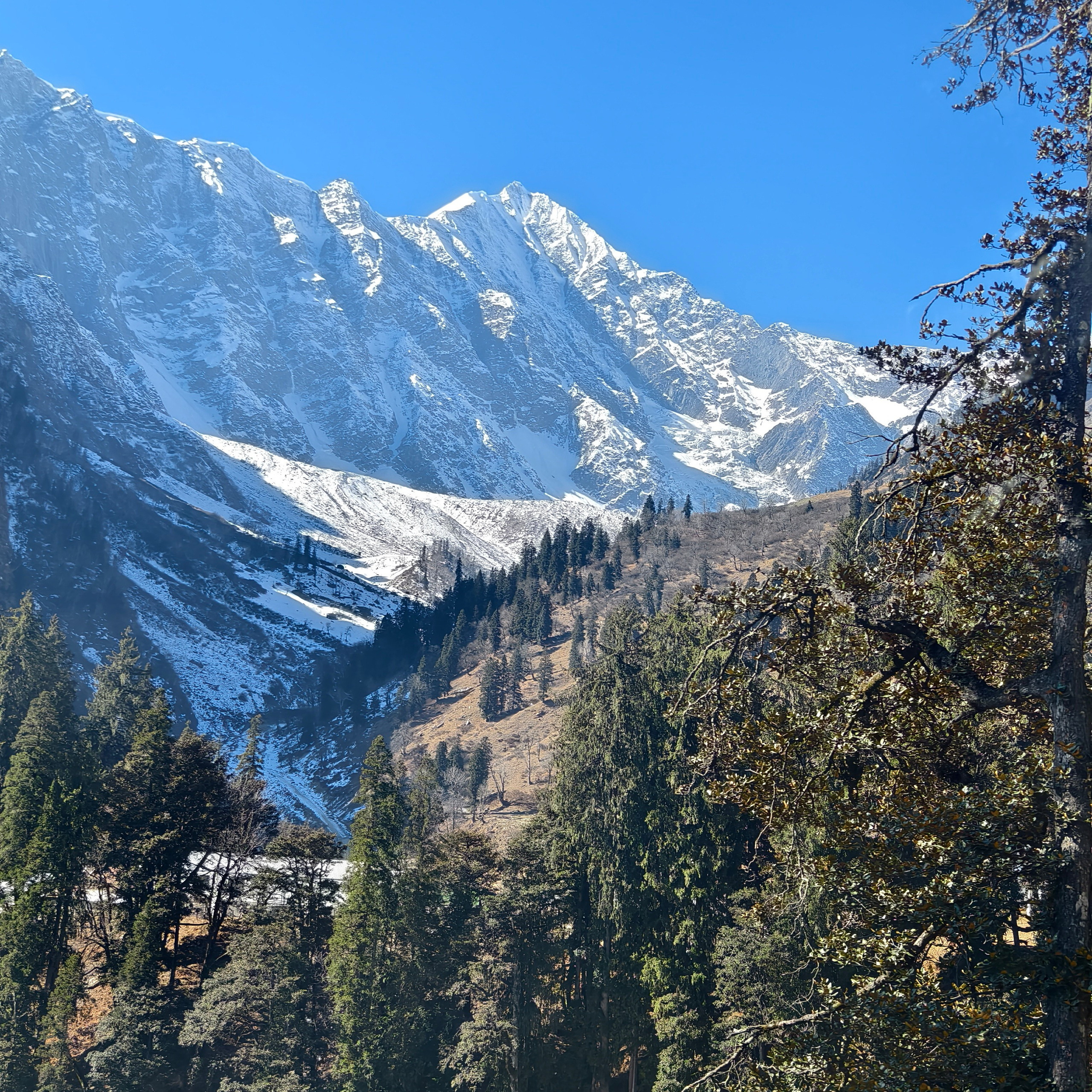 Путешествие в Долину Богов — Манали. Айгуль Лотфуллина. #АйгульТВ. Фотограф в Адлере и Сочи, Красной Поляне
