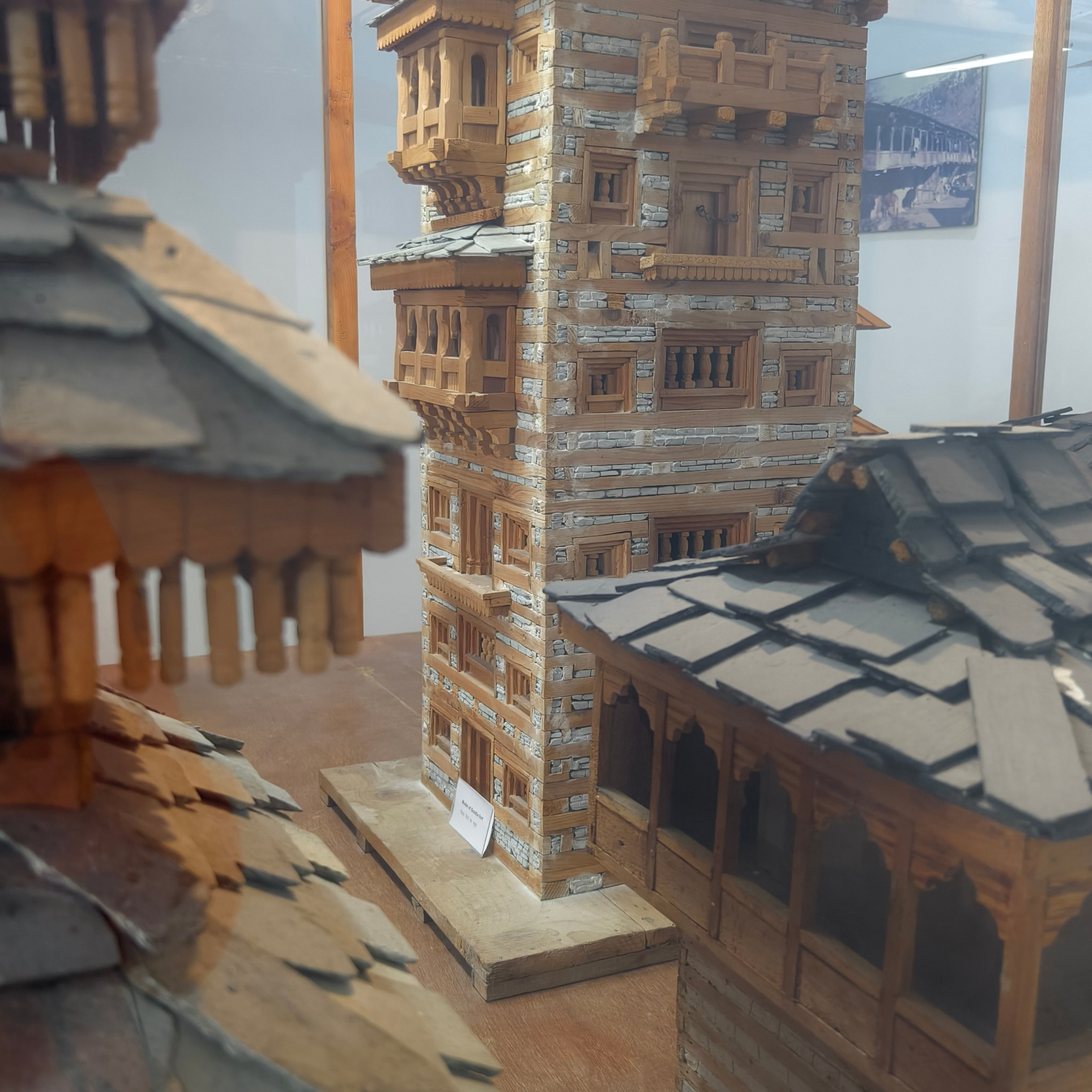 Путешествие в Долину Богов — Манали. Айгуль Лотфуллина. #АйгульТВ. Фотограф в Адлере и Сочи, Красной Поляне