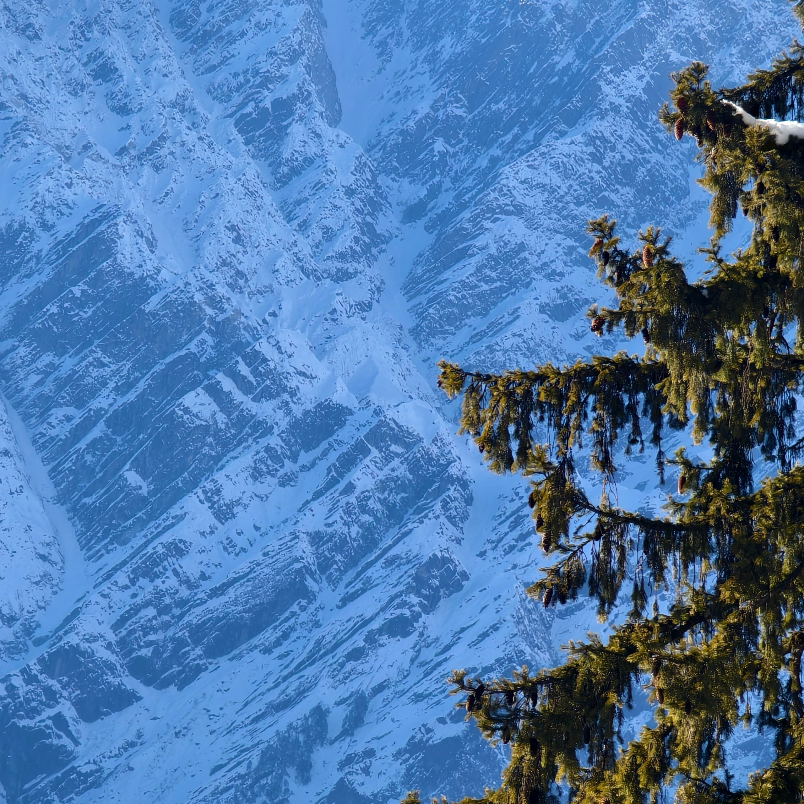 Путешествие в Долину Богов — Манали. Айгуль Лотфуллина. #АйгульТВ. Фотограф в Адлере и Сочи, Красной Поляне