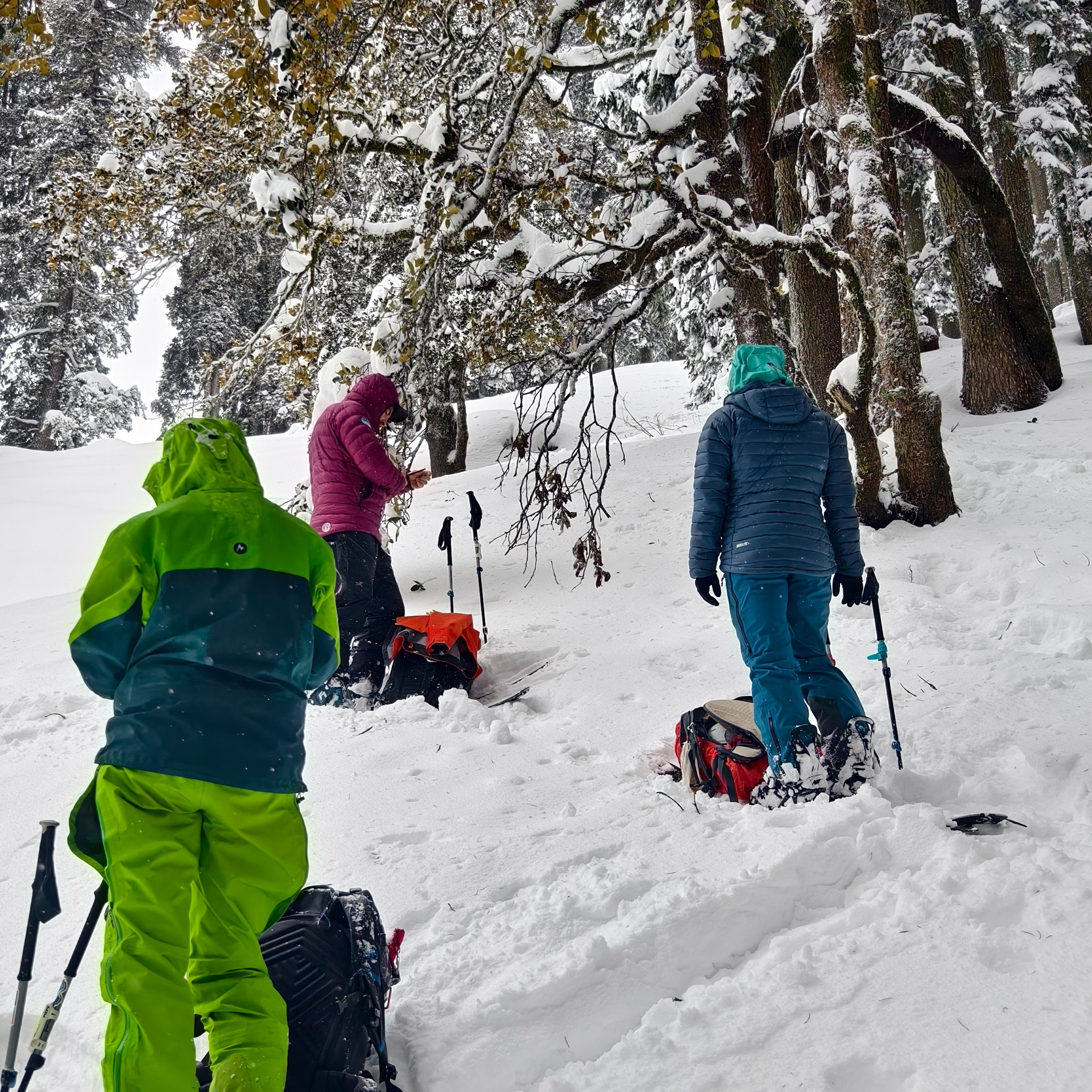 Путешествие в Долину Богов — Манали. Айгуль Лотфуллина. #АйгульТВ. Фотограф в Адлере и Сочи, Красной Поляне