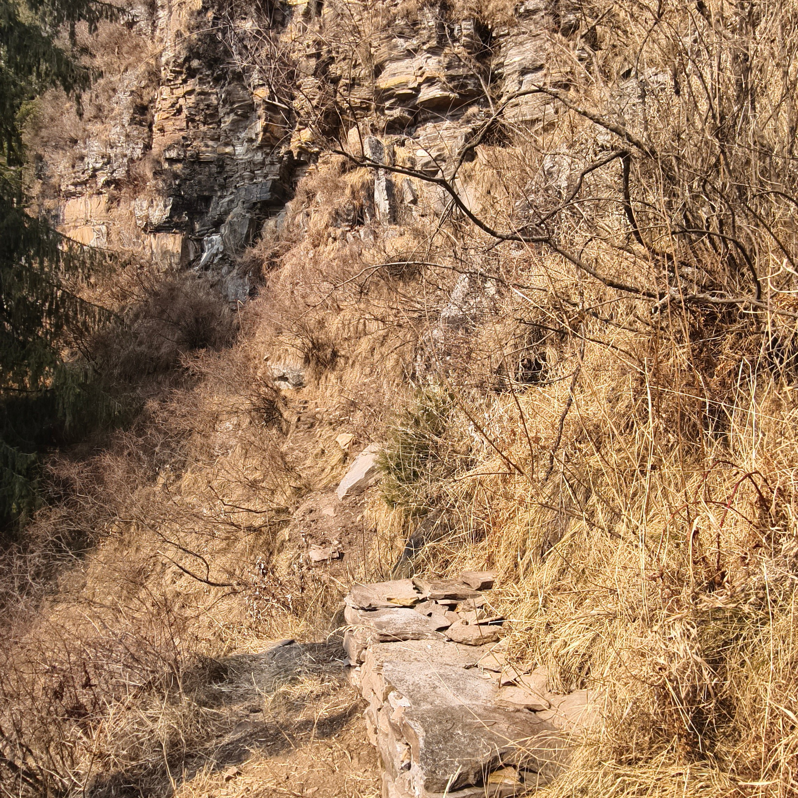 Путешествие в Долину Богов — Манали. Айгуль Лотфуллина. #АйгульТВ. Фотограф в Адлере и Сочи, Красной Поляне