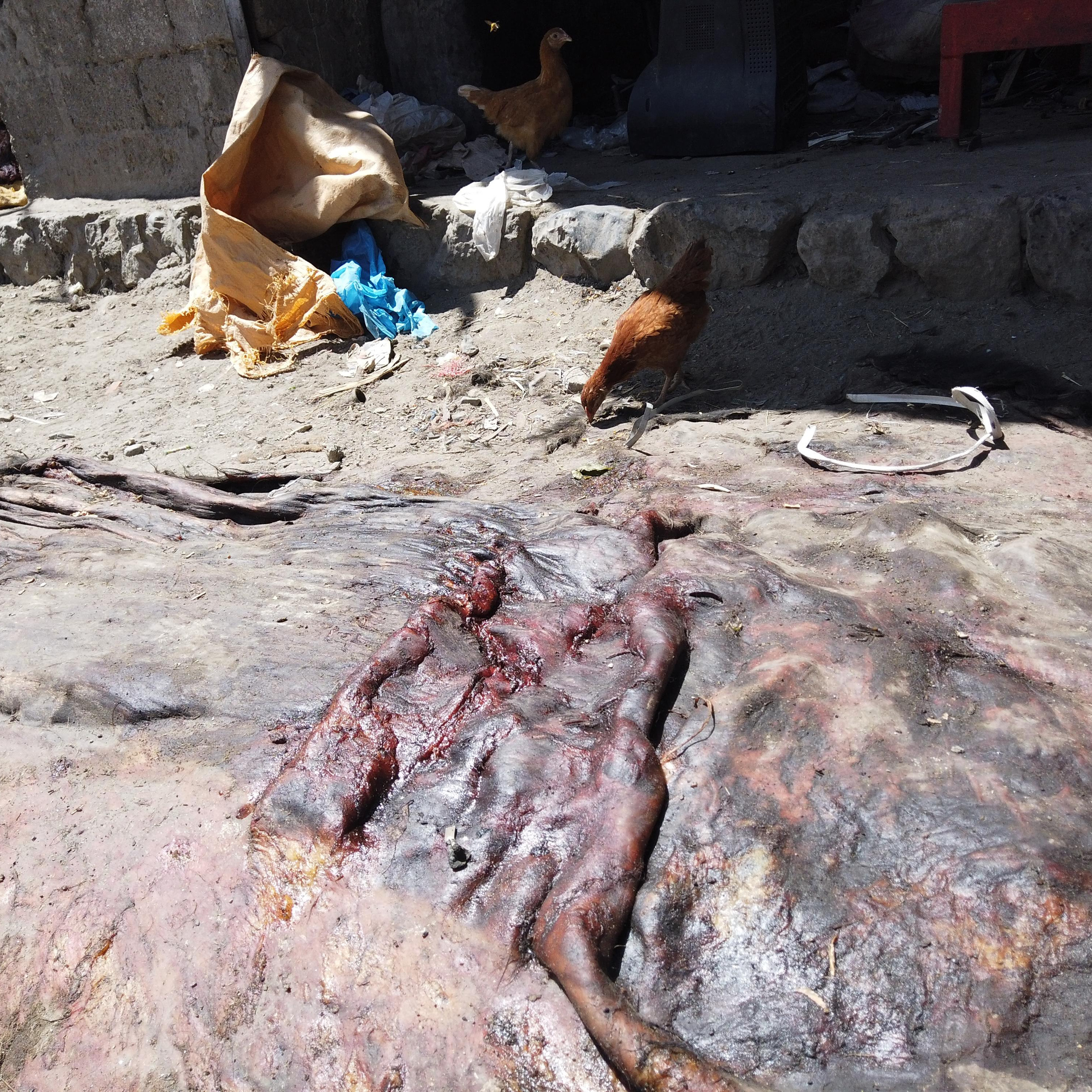 Пакистан 2019, путевые заметки, Лотфуллина Айгуль. Айгуль Лотфуллина. #АйгульТВ. Фотограф в Адлере и Сочи, Красной Поляне