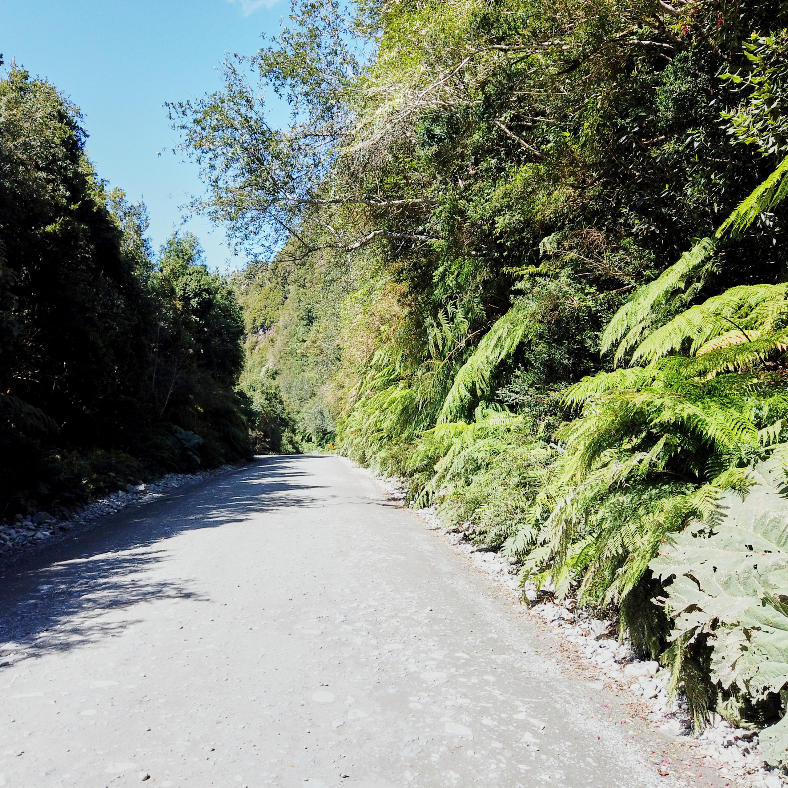 Патагония 2019. Айгуль Лотфуллина. #АйгульТВ. Фотограф в Адлере и Сочи, Красной Поляне
