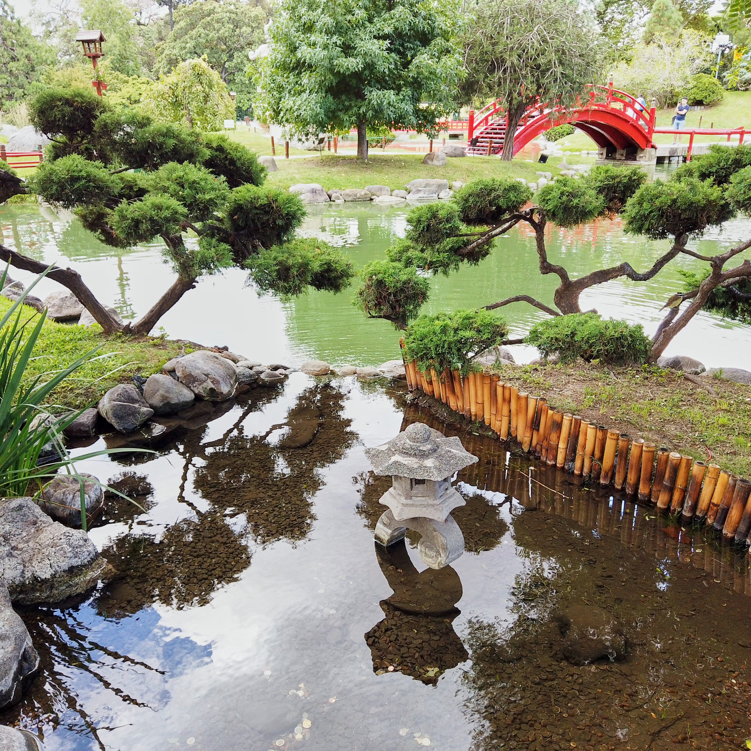 Патагония 2019. Айгуль Лотфуллина. #АйгульТВ. Фотограф в Адлере и Сочи, Красной Поляне