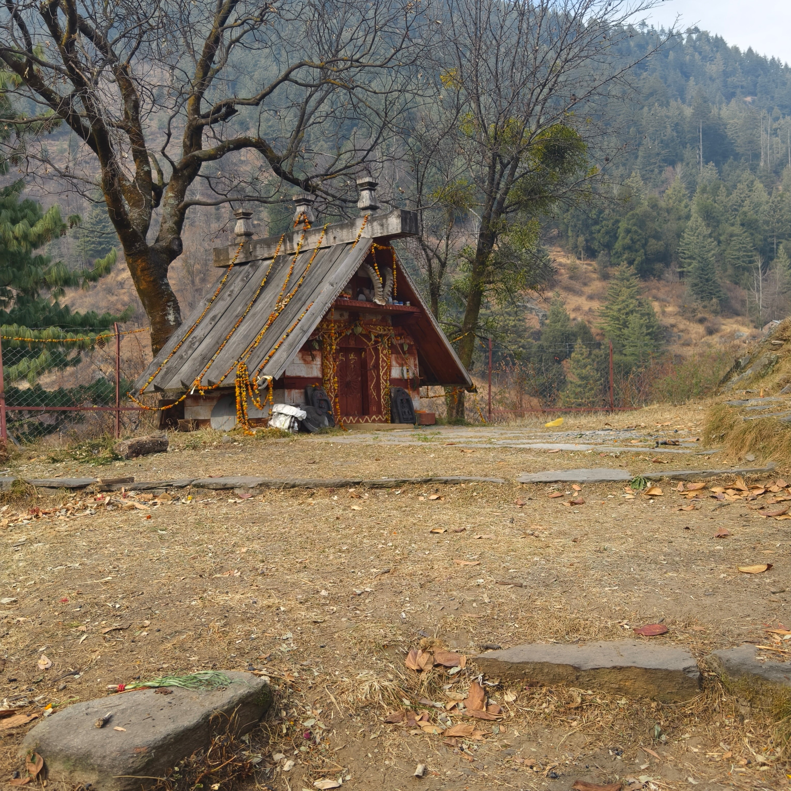 Путешествие в Долину Богов — Манали. Айгуль Лотфуллина. #АйгульТВ. Фотограф в Адлере и Сочи, Красной Поляне