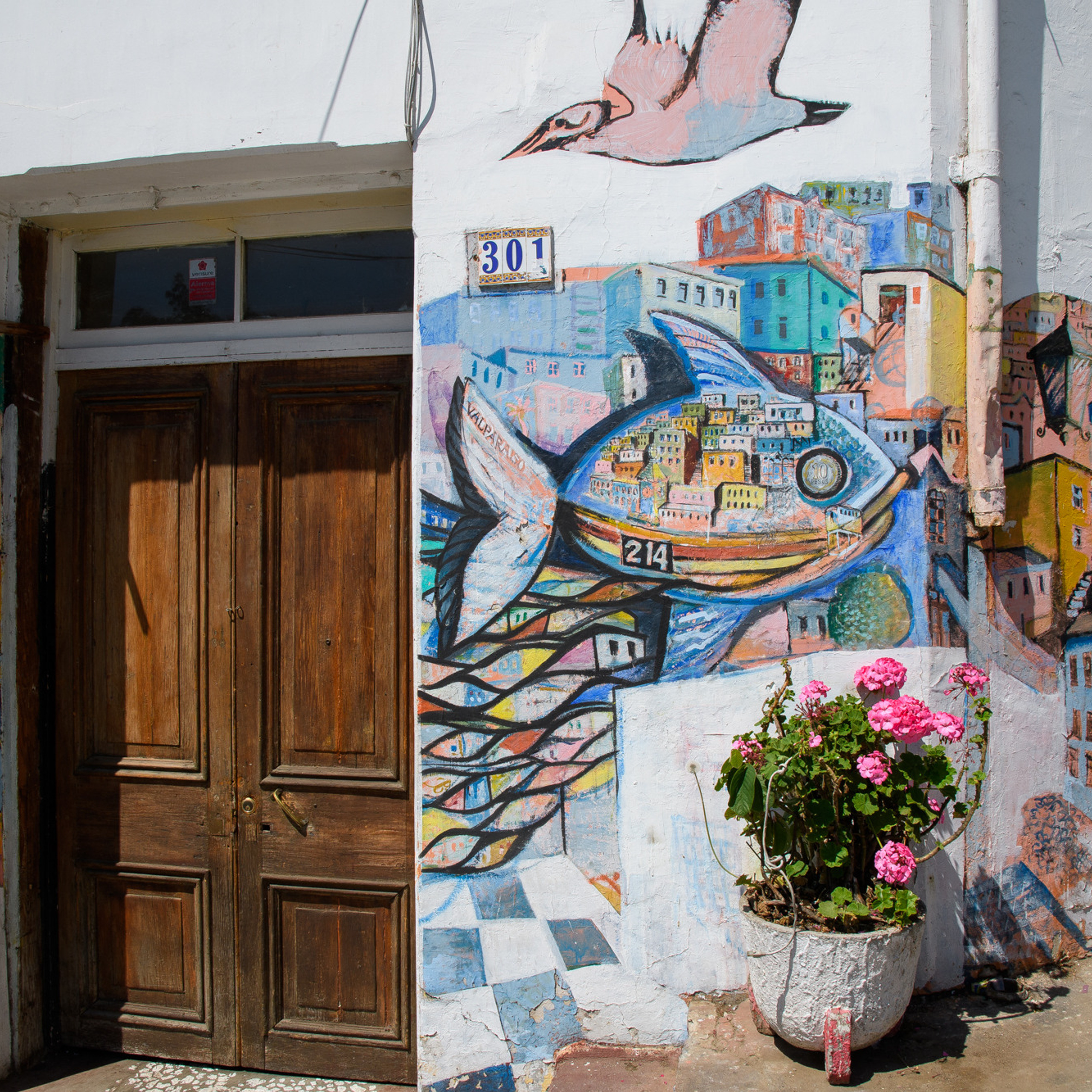 Патагония 2019. Айгуль Лотфуллина. #АйгульТВ. Фотограф в Адлере и Сочи, Красной Поляне