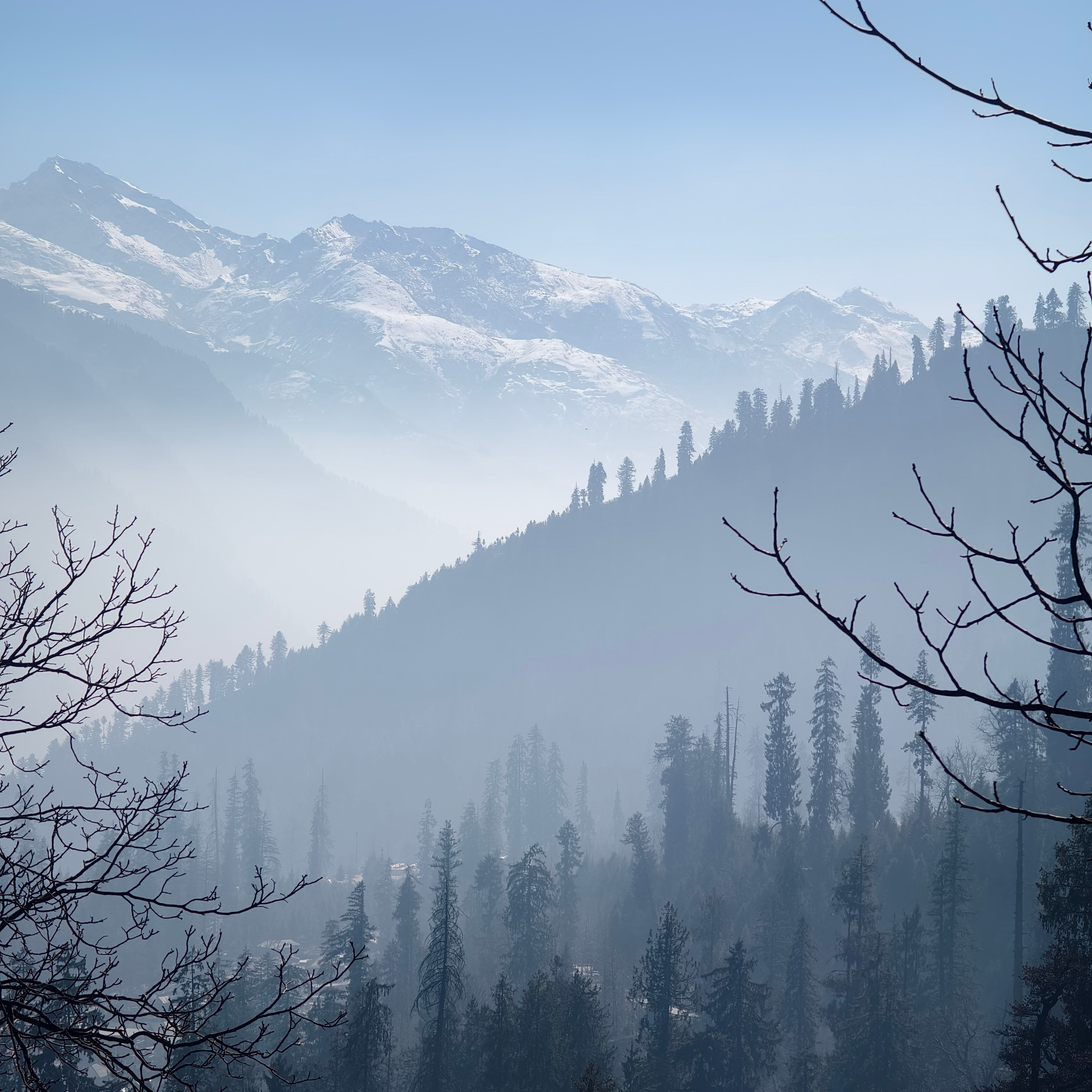 Путешествие в Долину Богов — Манали. Айгуль Лотфуллина. #АйгульТВ. Фотограф в Адлере и Сочи, Красной Поляне