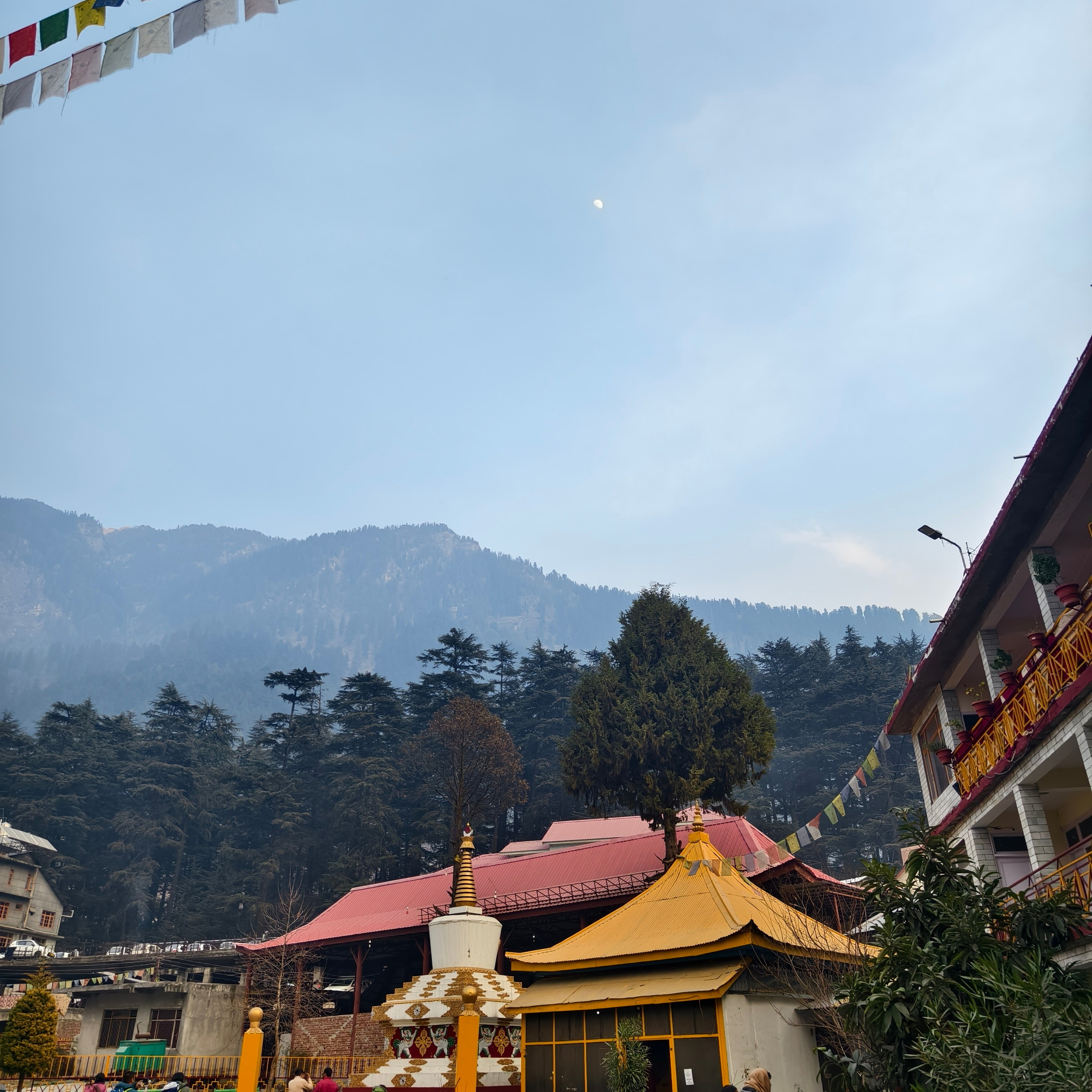 Путешествие в Долину Богов — Манали. Айгуль Лотфуллина. #АйгульТВ. Фотограф в Адлере и Сочи, Красной Поляне