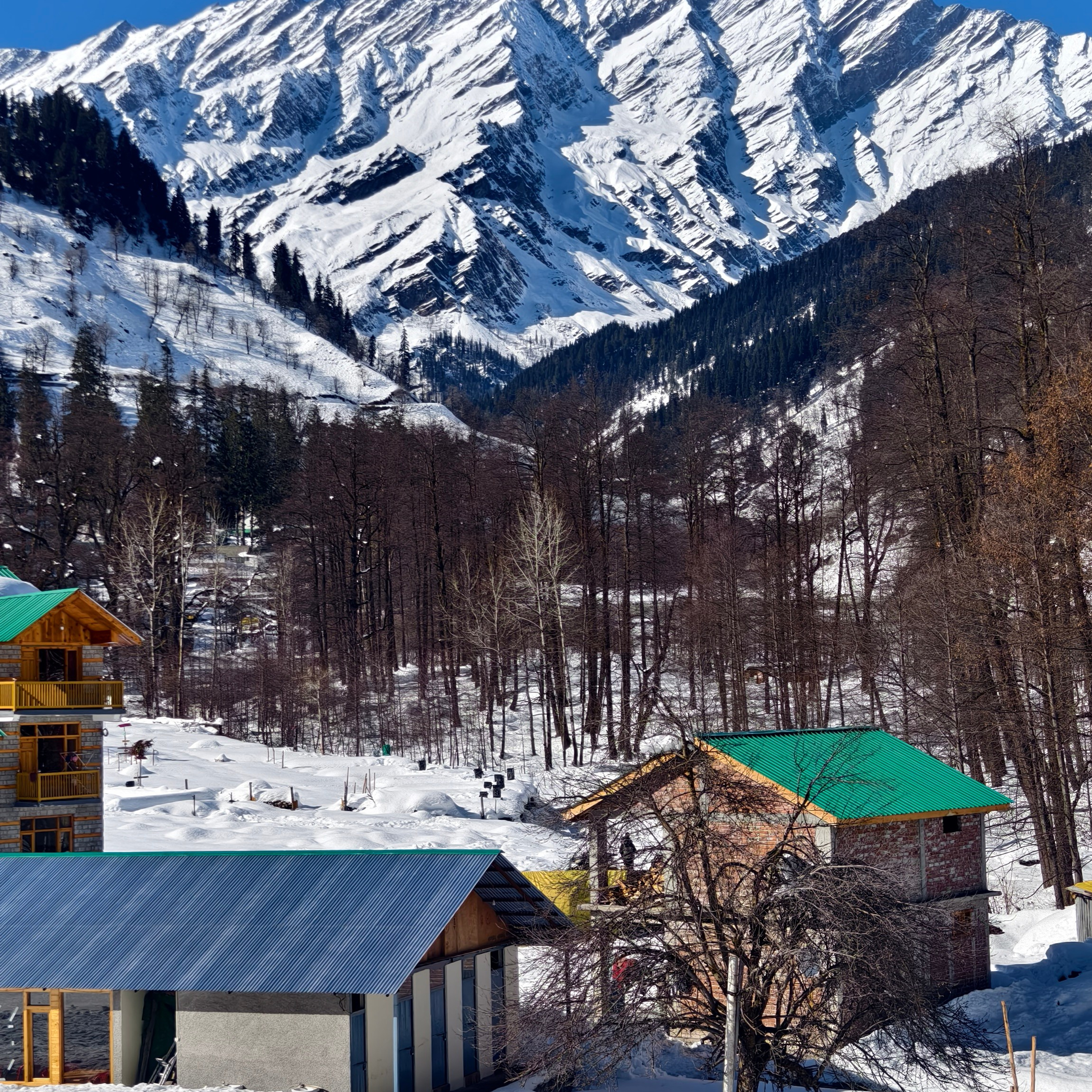 Путешествие в Долину Богов — Манали. Айгуль Лотфуллина. #АйгульТВ. Фотограф в Адлере и Сочи, Красной Поляне