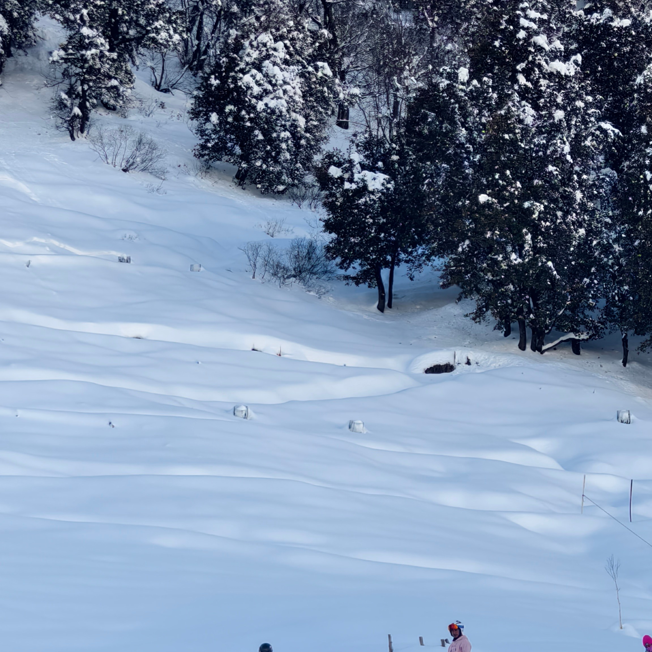 Путешествие в Долину Богов — Манали. Айгуль Лотфуллина. #АйгульТВ. Фотограф в Адлере и Сочи, Красной Поляне