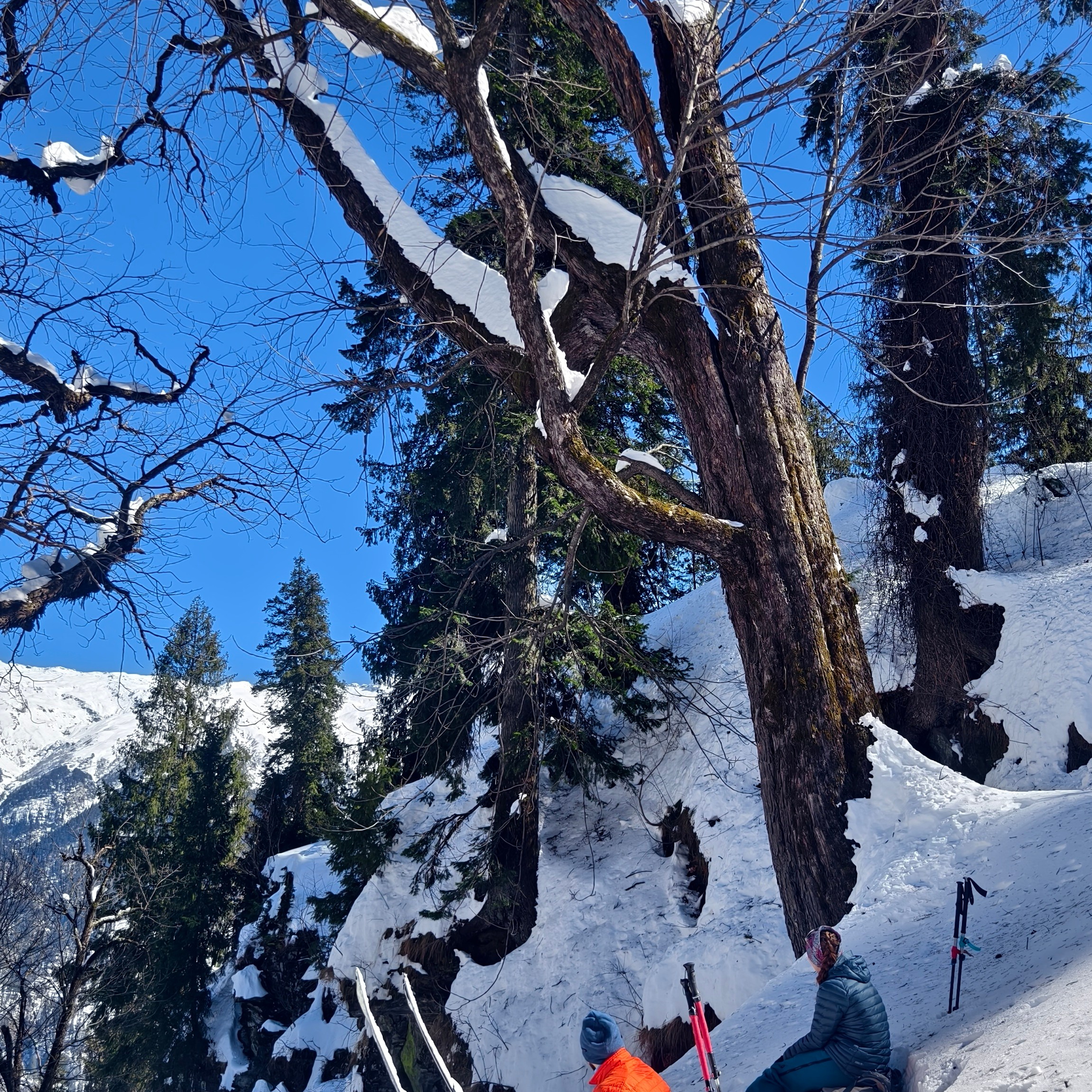 Путешествие в Долину Богов — Манали. Айгуль Лотфуллина. #АйгульТВ. Фотограф в Адлере и Сочи, Красной Поляне