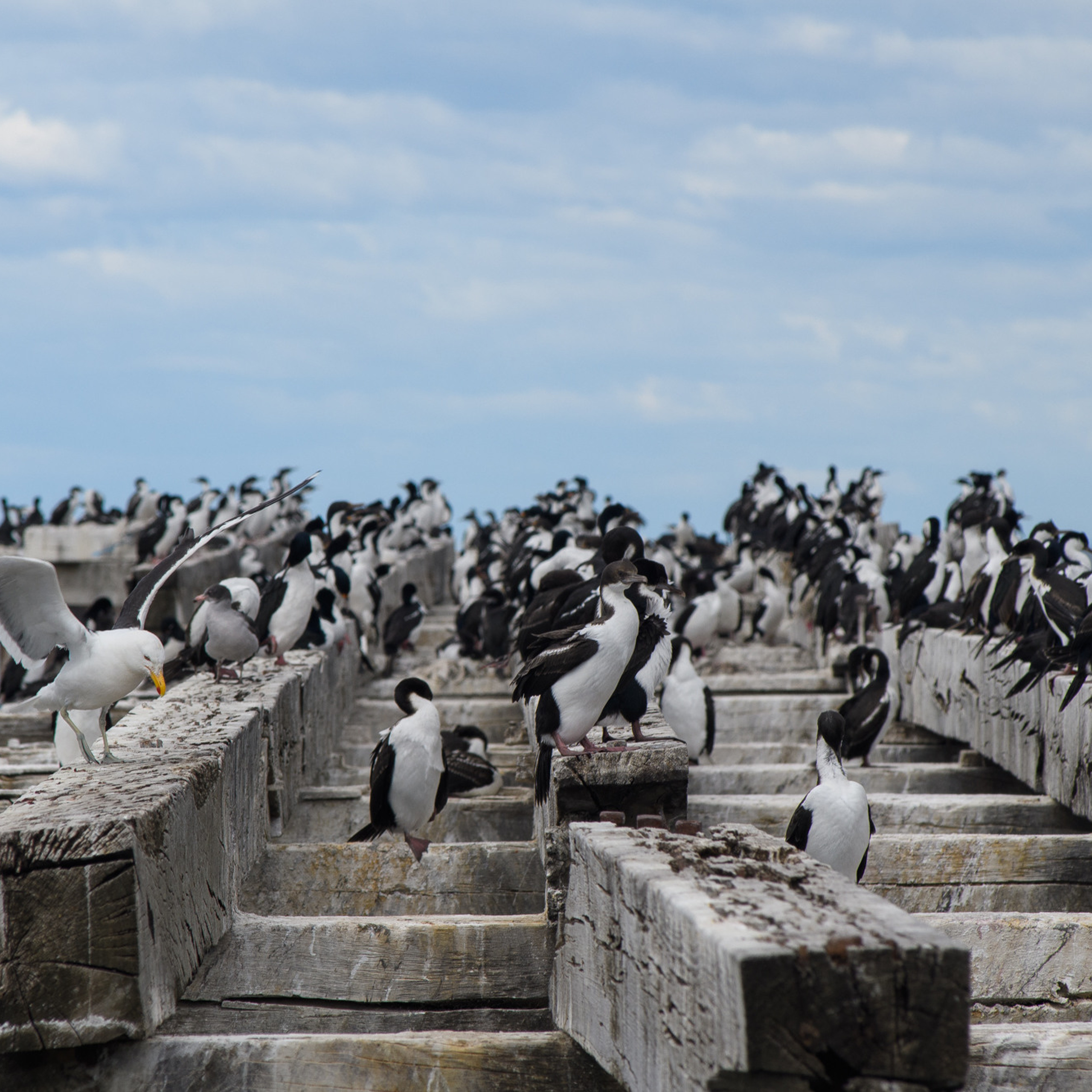 Патагония 2019. Айгуль Лотфуллина. #АйгульТВ. Фотограф в Адлере и Сочи, Красной Поляне