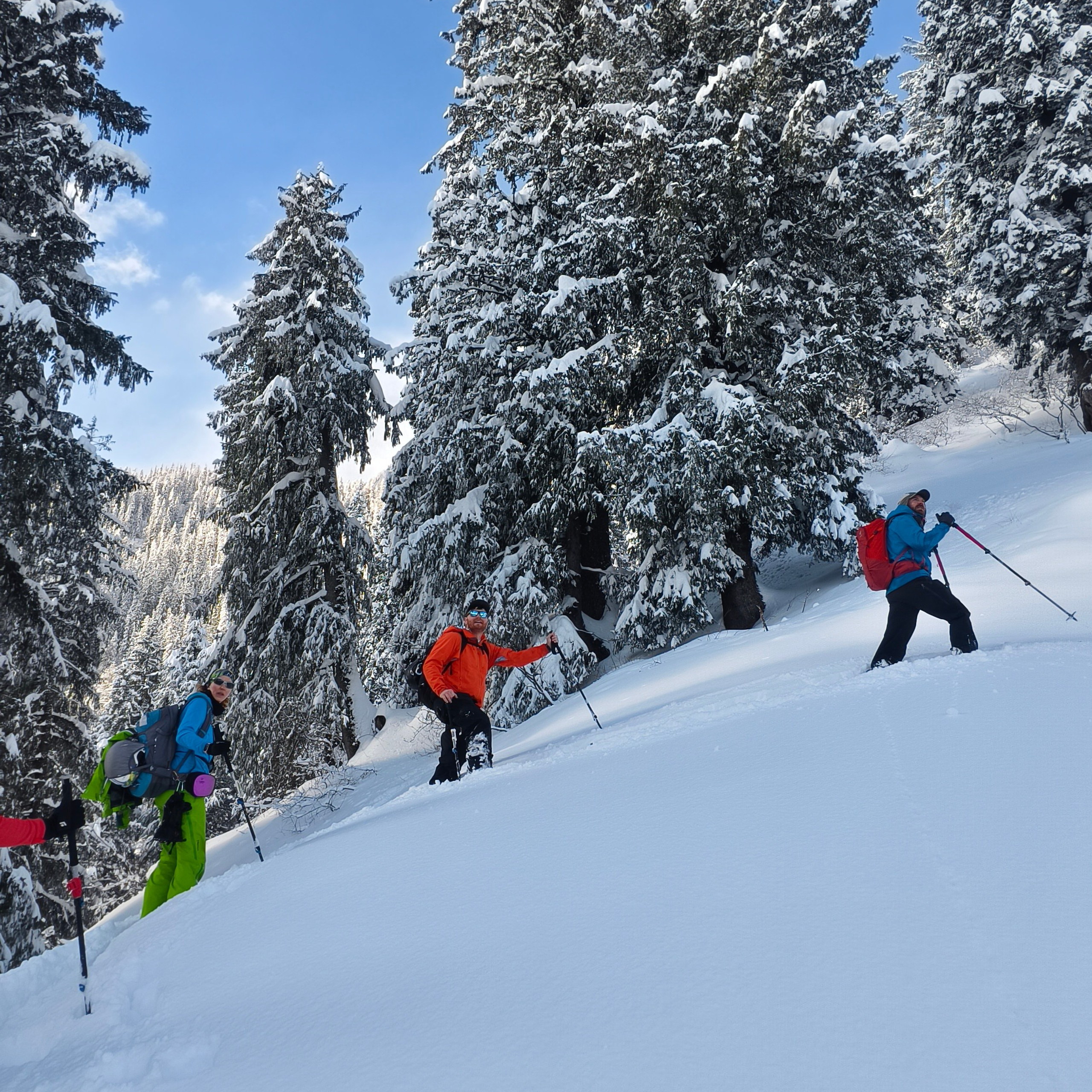 Путешествие в Долину Богов — Манали. Айгуль Лотфуллина. #АйгульТВ. Фотограф в Адлере и Сочи, Красной Поляне
