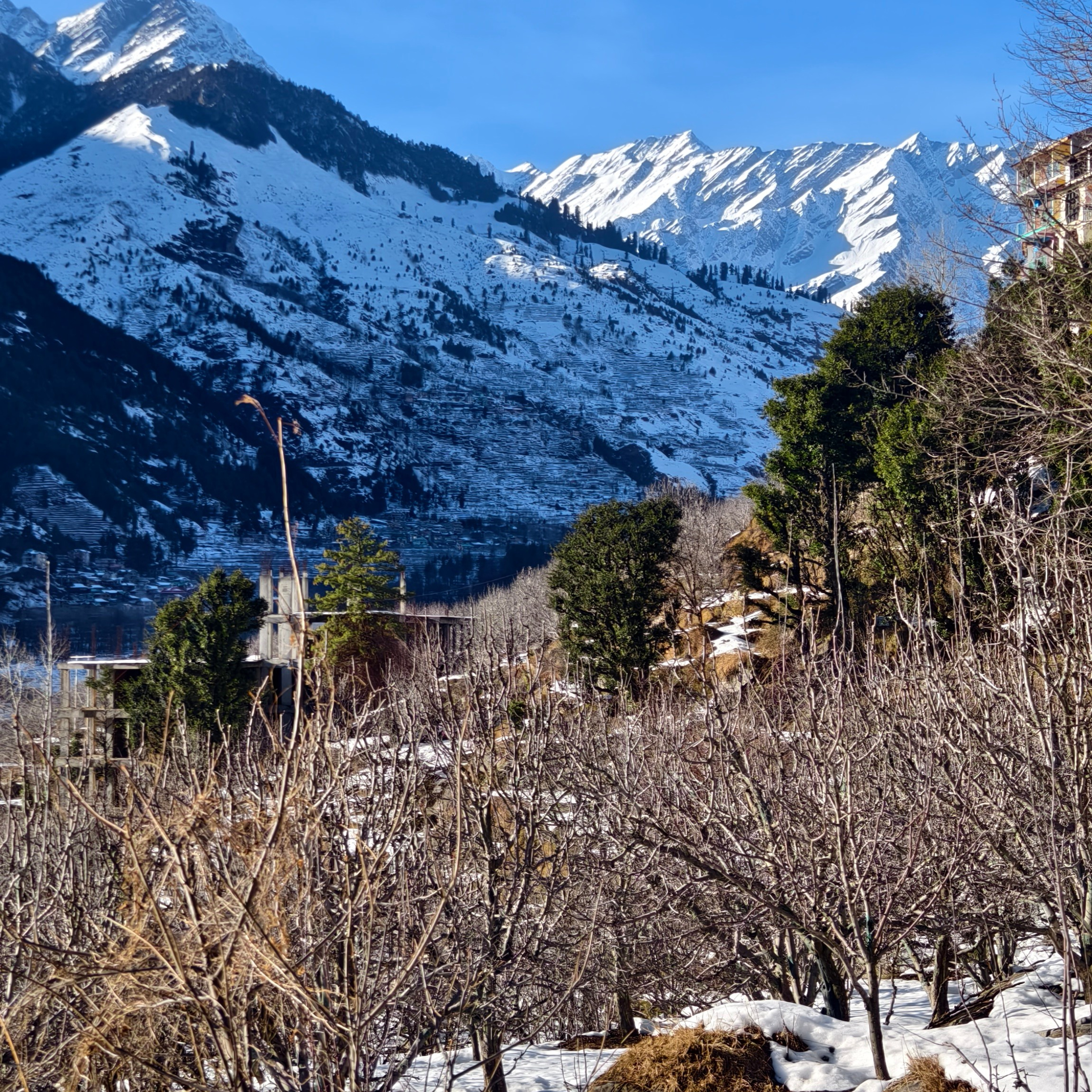 Путешествие в Долину Богов — Манали. Айгуль Лотфуллина. #АйгульТВ. Фотограф в Адлере и Сочи, Красной Поляне