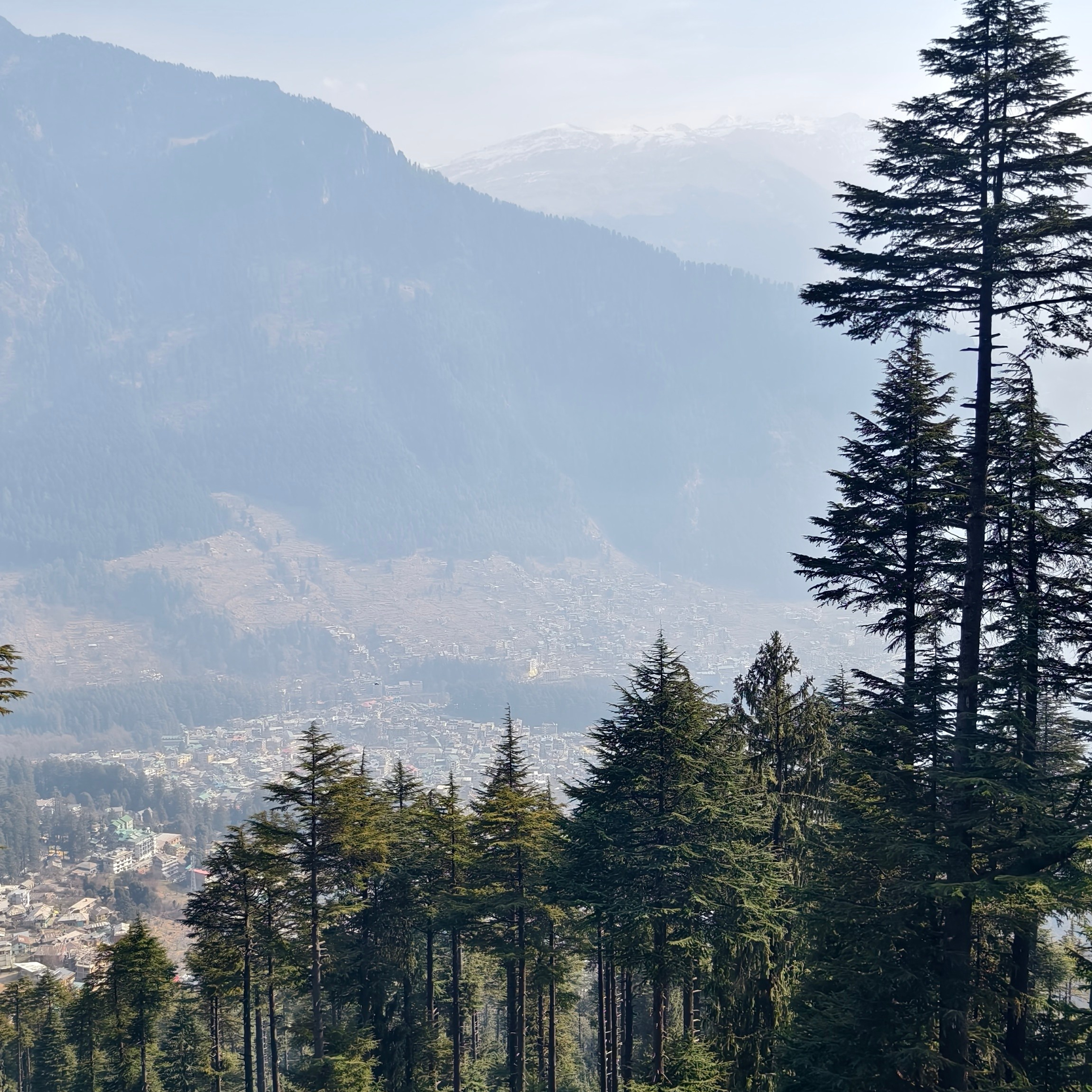 Путешествие в Долину Богов — Манали. Айгуль Лотфуллина. #АйгульТВ. Фотограф в Адлере и Сочи, Красной Поляне