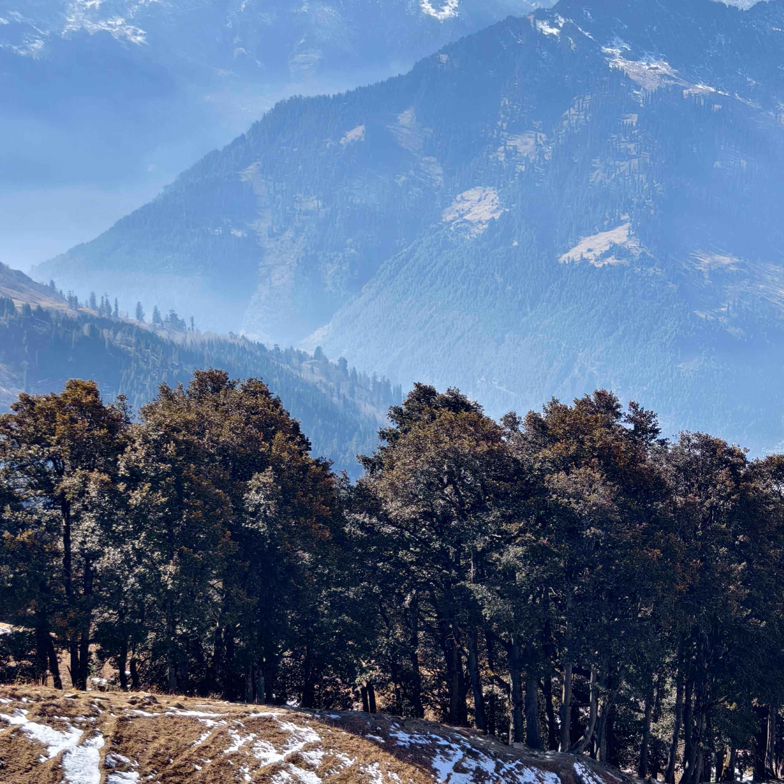 Путешествие в Долину Богов — Манали. Айгуль Лотфуллина. #АйгульТВ. Фотограф в Адлере и Сочи, Красной Поляне