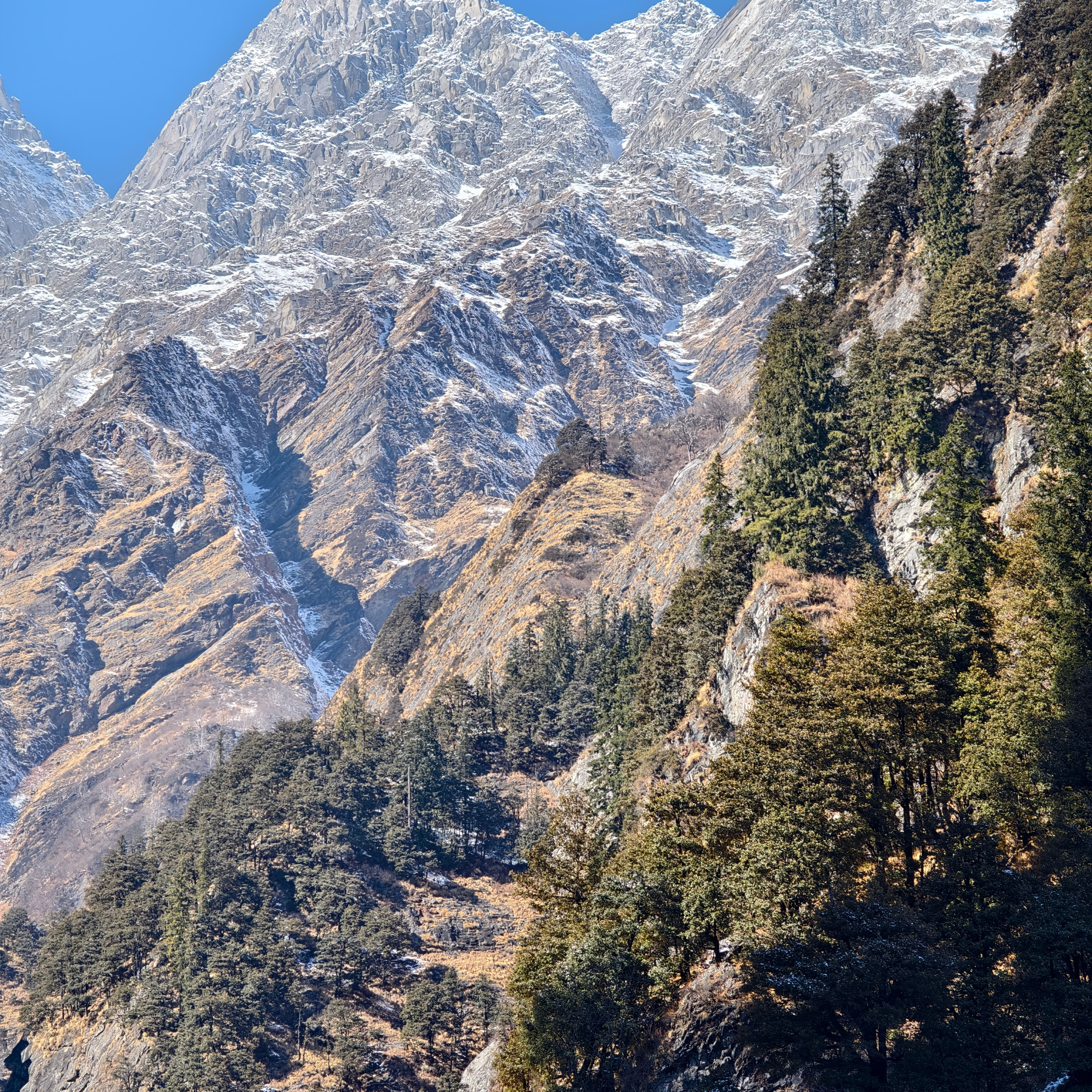 Путешествие в Долину Богов — Манали. Айгуль Лотфуллина. #АйгульТВ. Фотограф в Адлере и Сочи, Красной Поляне
