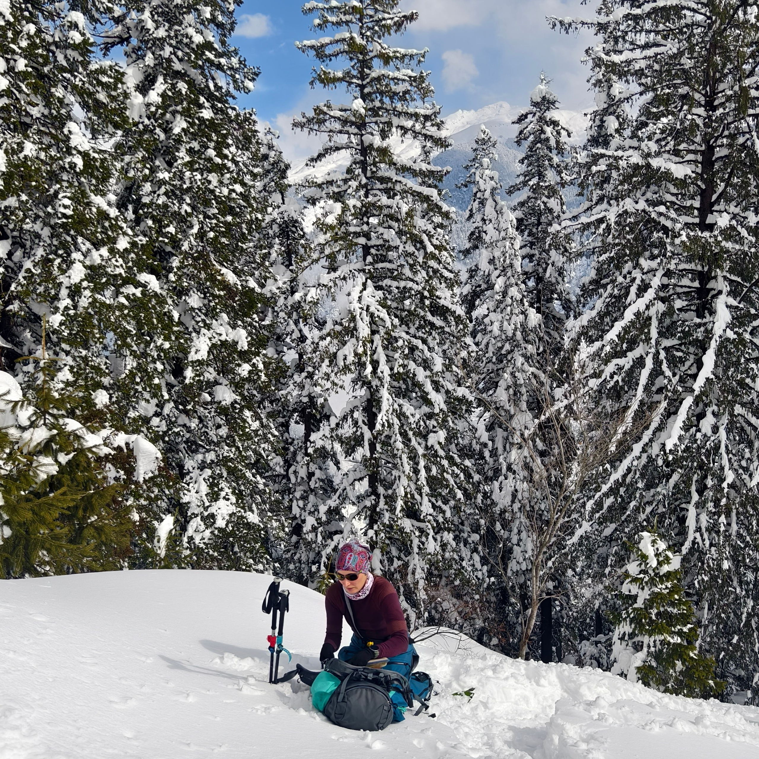 Путешествие в Долину Богов — Манали. Айгуль Лотфуллина. #АйгульТВ. Фотограф в Адлере и Сочи, Красной Поляне