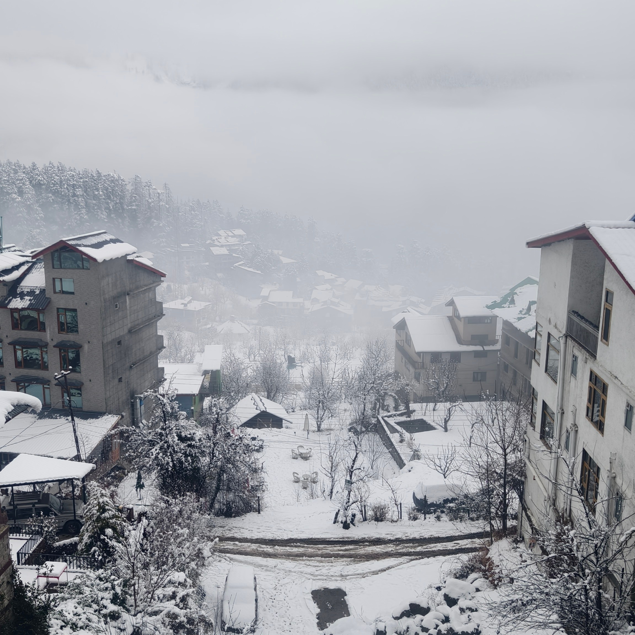 Путешествие в Долину Богов — Манали. Айгуль Лотфуллина. #АйгульТВ. Фотограф в Адлере и Сочи, Красной Поляне