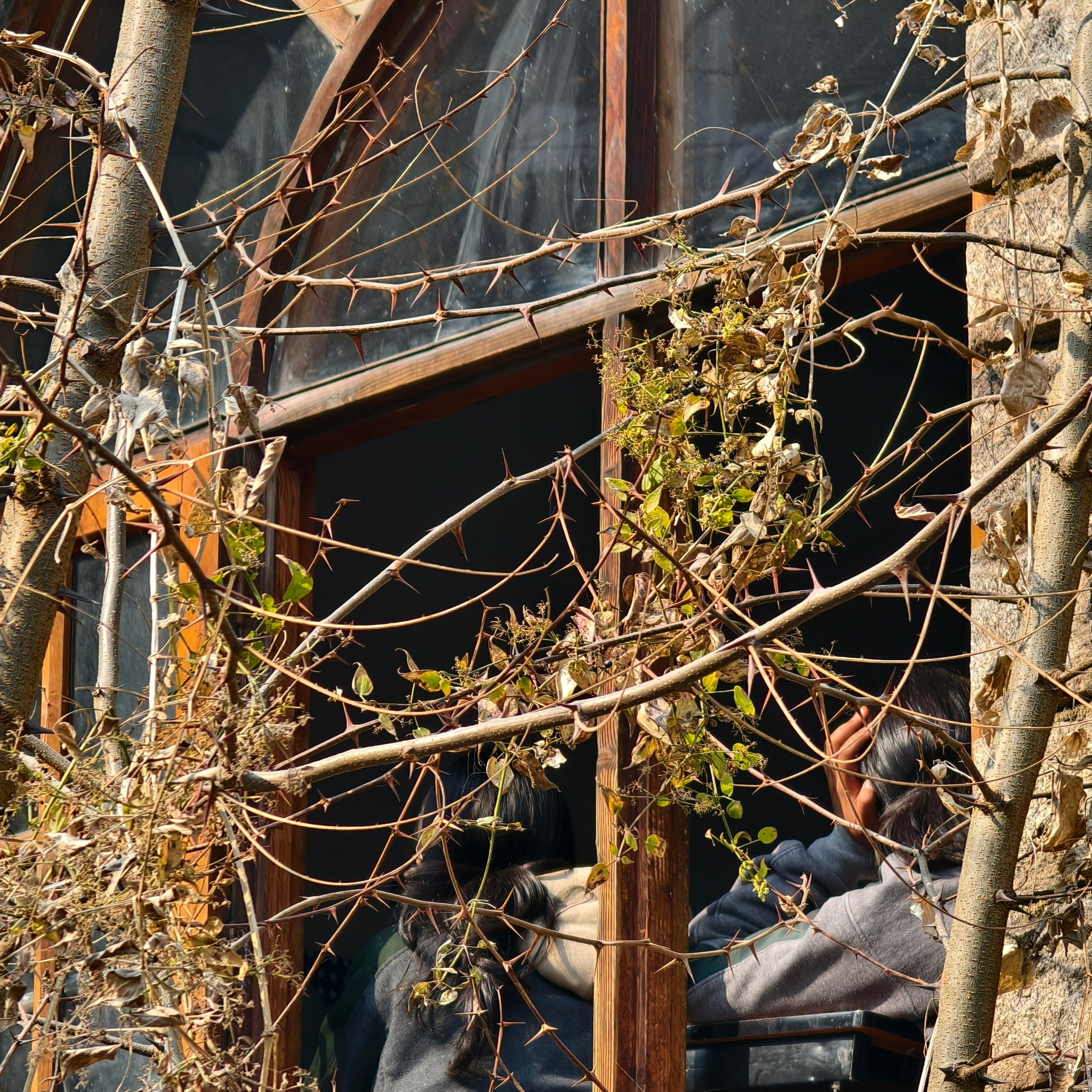 Путешествие в Долину Богов — Манали. Айгуль Лотфуллина. #АйгульТВ. Фотограф в Адлере и Сочи, Красной Поляне