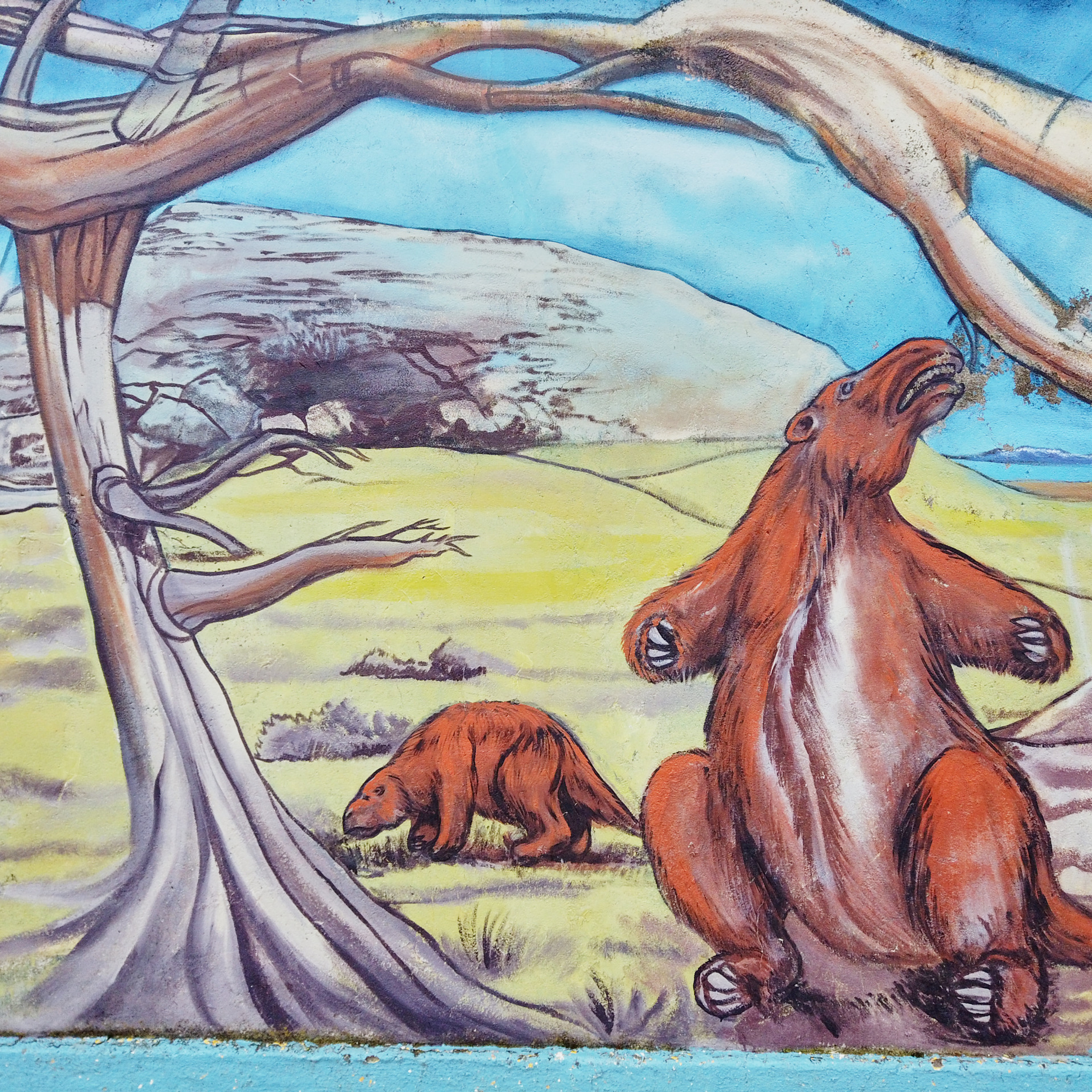 Патагония 2019. Айгуль Лотфуллина. #АйгульТВ. Фотограф в Адлере и Сочи, Красной Поляне