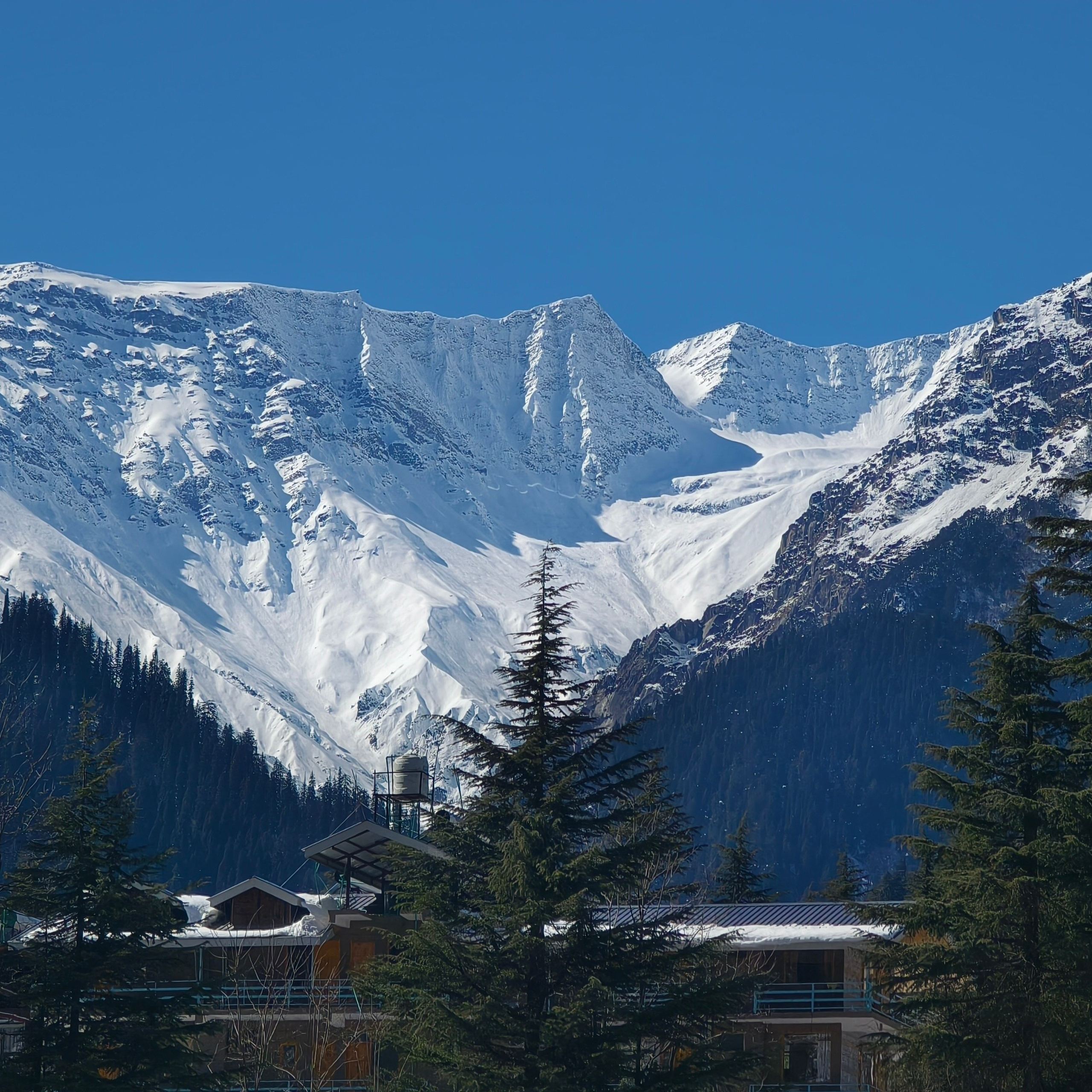 Путешествие в Долину Богов — Манали. Айгуль Лотфуллина. #АйгульТВ. Фотограф в Адлере и Сочи, Красной Поляне