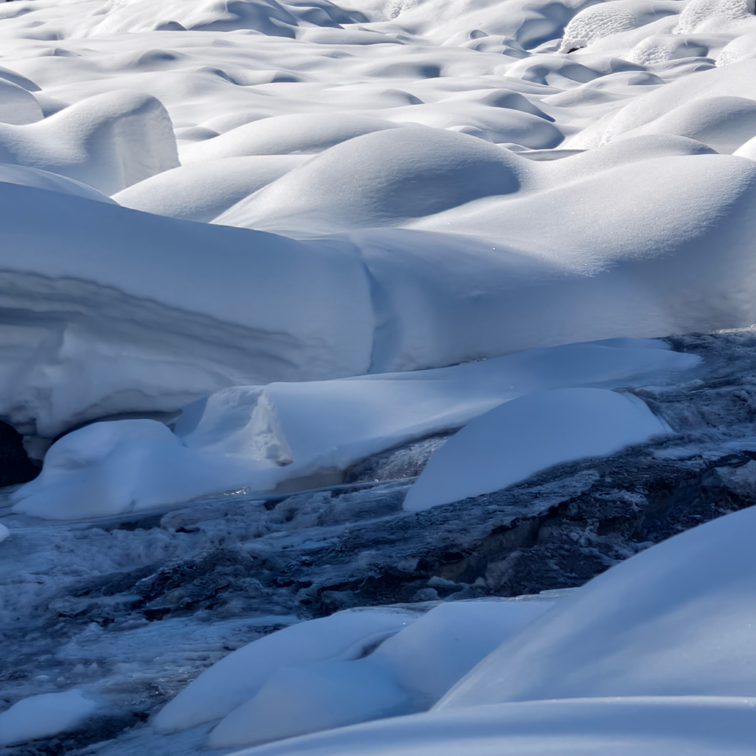 Путешествие в Долину Богов — Манали. Айгуль Лотфуллина. #АйгульТВ. Фотограф в Адлере и Сочи, Красной Поляне