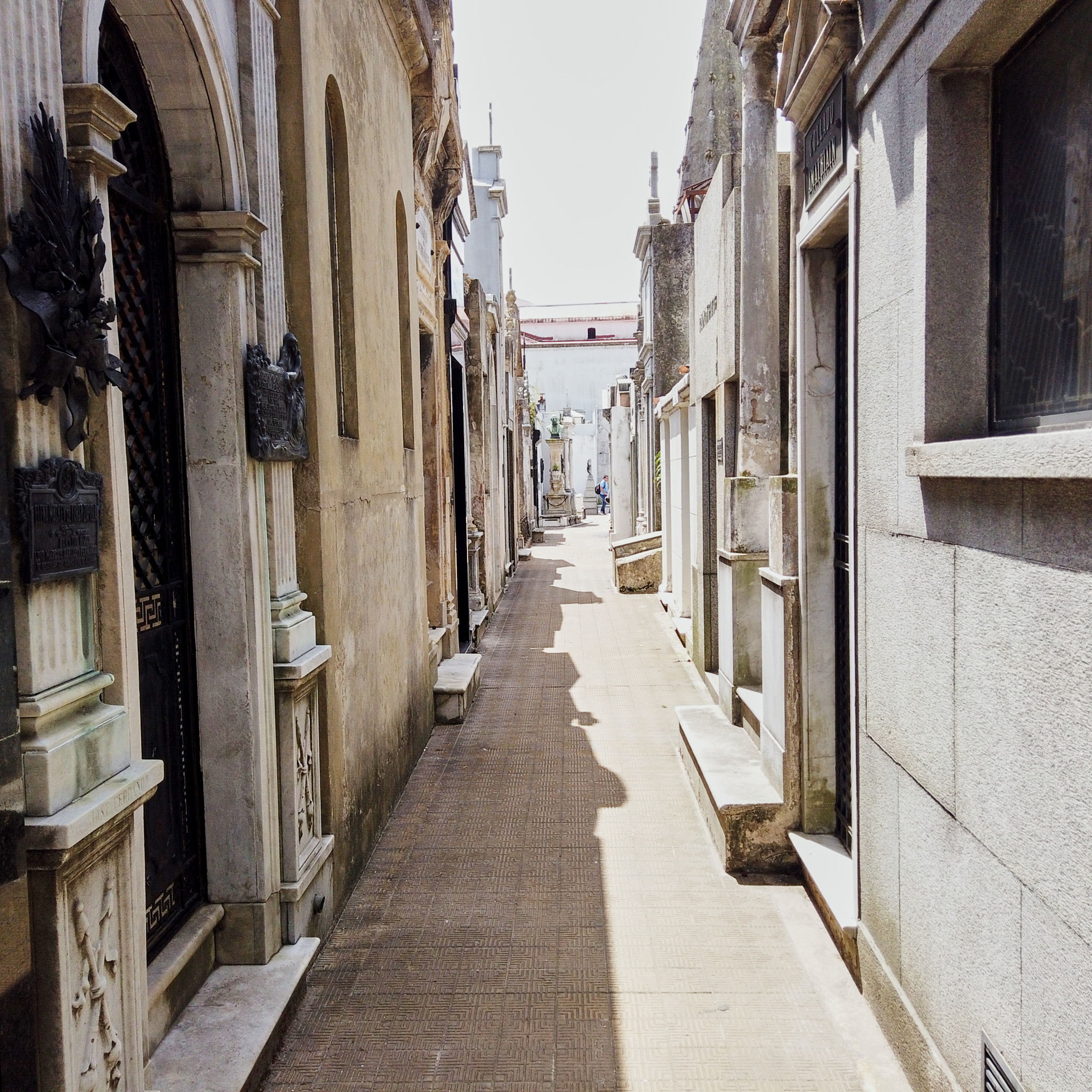 Патагония 2019. Айгуль Лотфуллина. #АйгульТВ. Фотограф в Адлере и Сочи, Красной Поляне