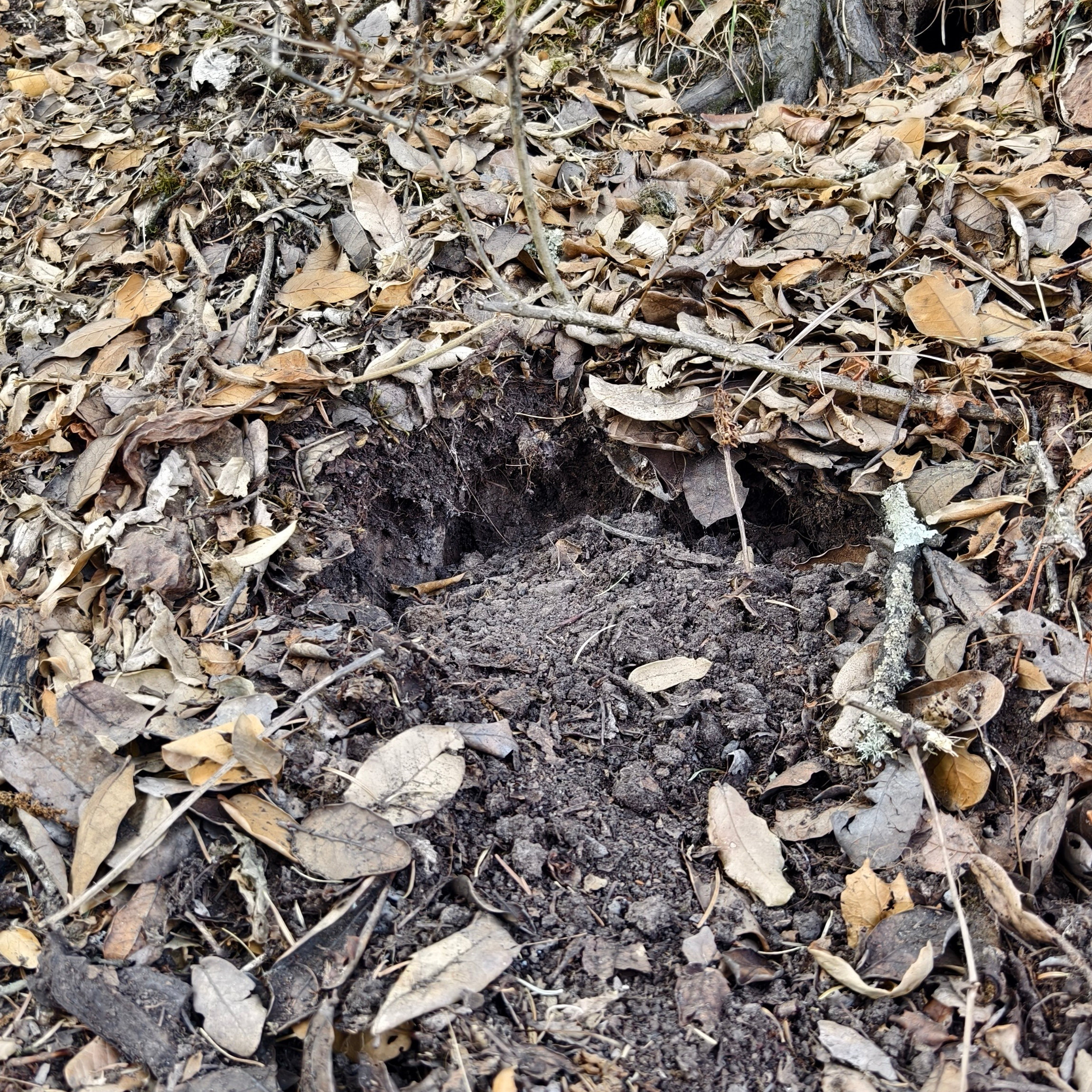 Путешествие в Долину Богов — Манали. Айгуль Лотфуллина. #АйгульТВ. Фотограф в Адлере и Сочи, Красной Поляне