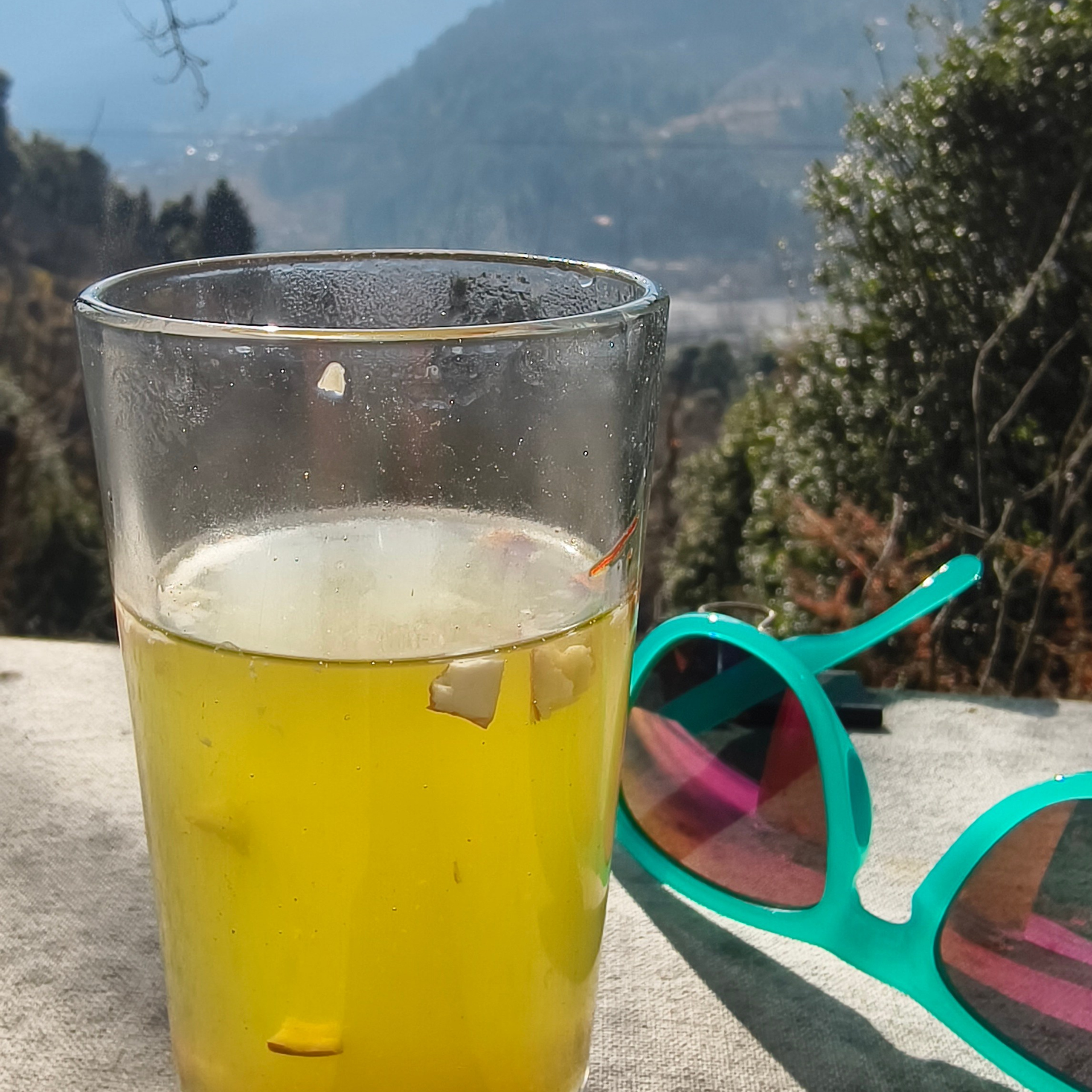 Путешествие в Долину Богов — Манали. Айгуль Лотфуллина. #АйгульТВ. Фотограф в Адлере и Сочи, Красной Поляне