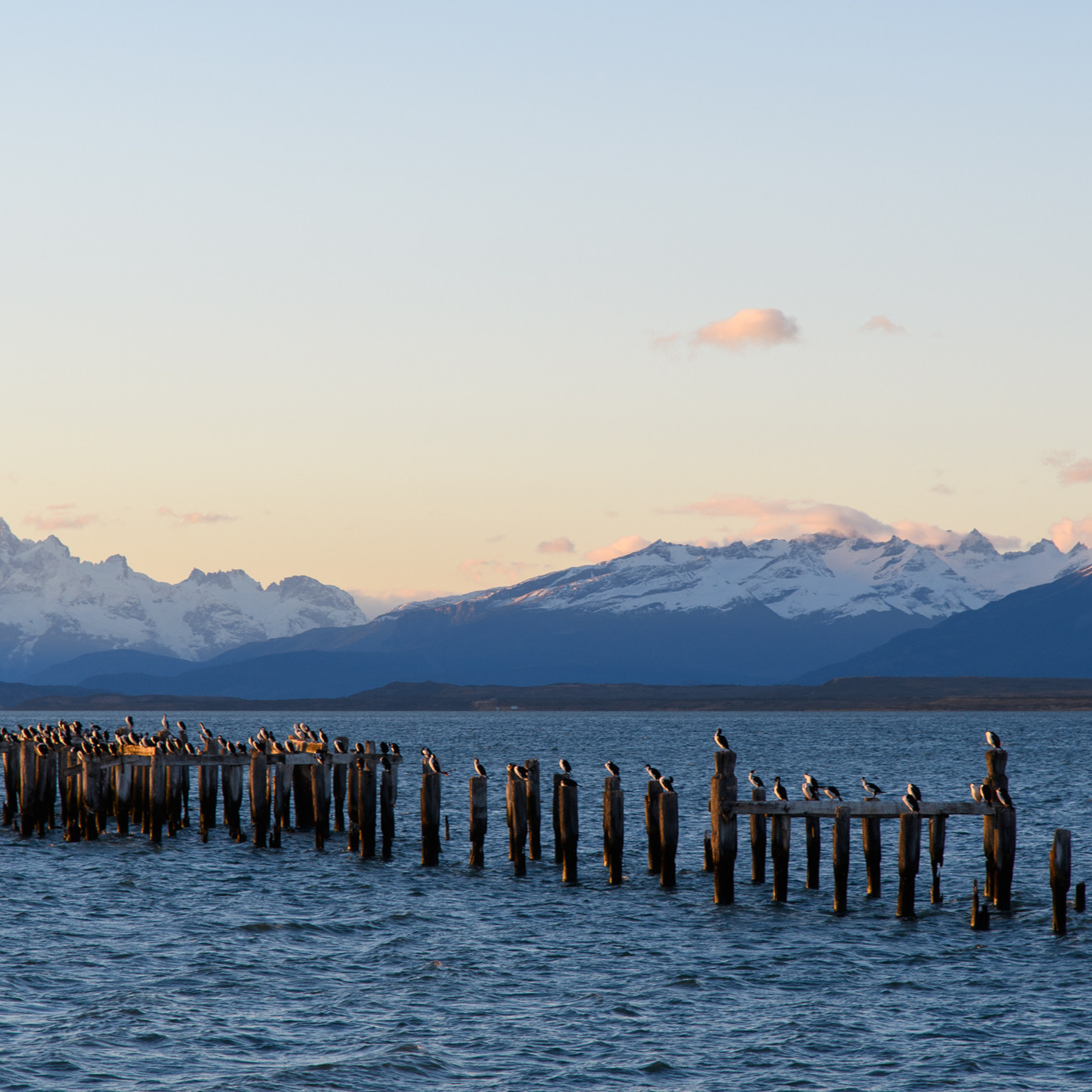 Патагония 2019. Айгуль Лотфуллина. #АйгульТВ. Фотограф в Адлере и Сочи, Красной Поляне