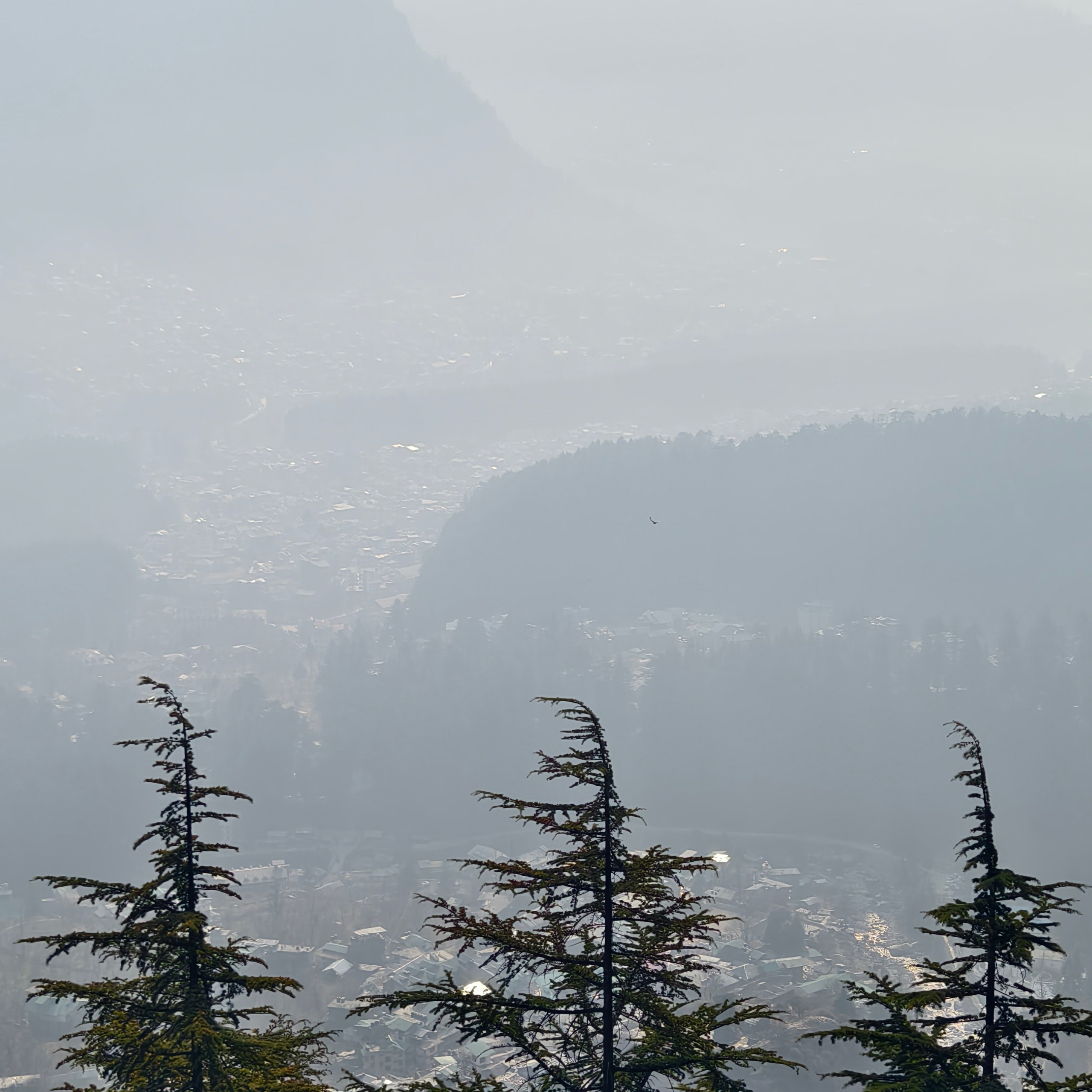 Путешествие в Долину Богов — Манали. Айгуль Лотфуллина. #АйгульТВ. Фотограф в Адлере и Сочи, Красной Поляне