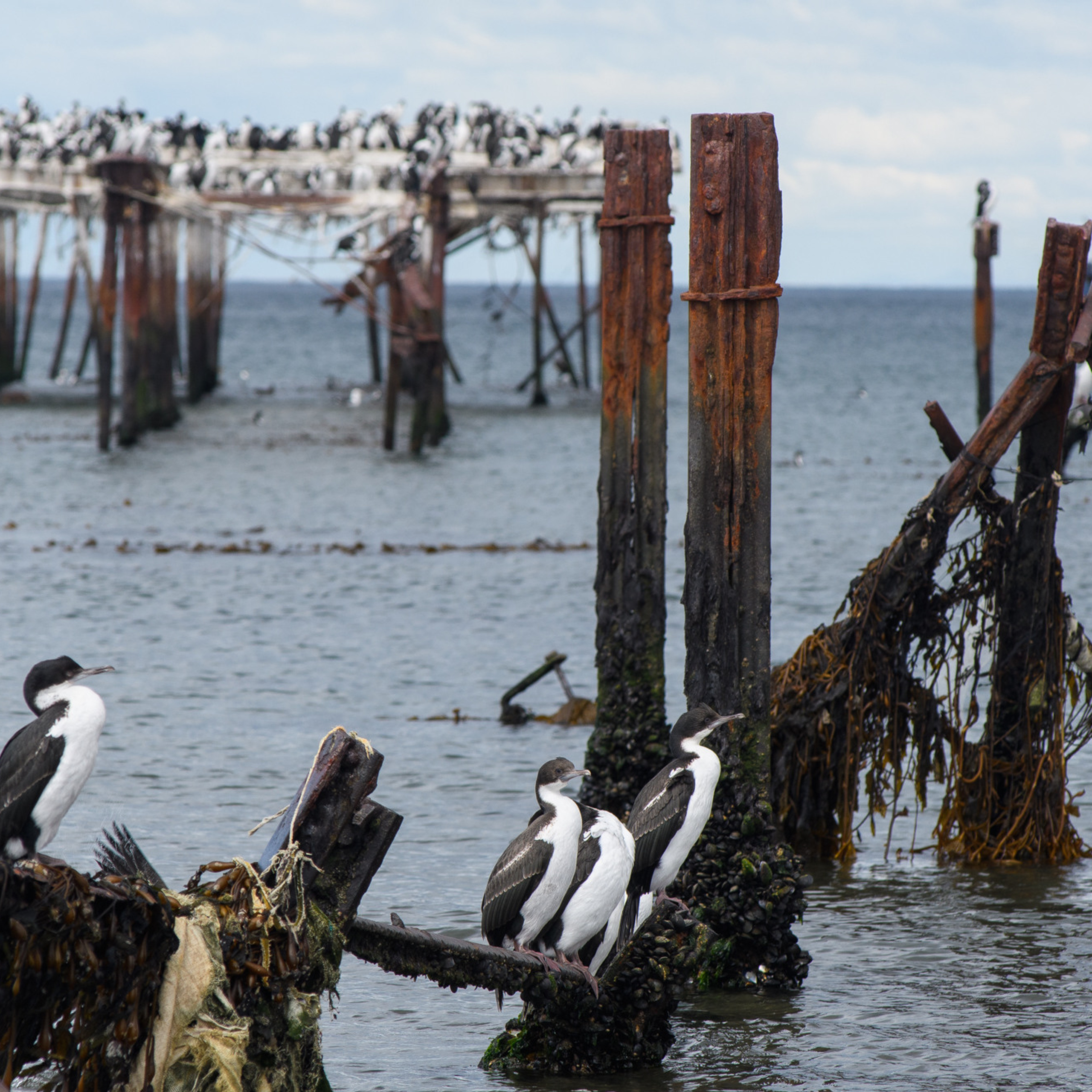 Патагония 2019. Айгуль Лотфуллина. #АйгульТВ. Фотограф в Адлере и Сочи, Красной Поляне