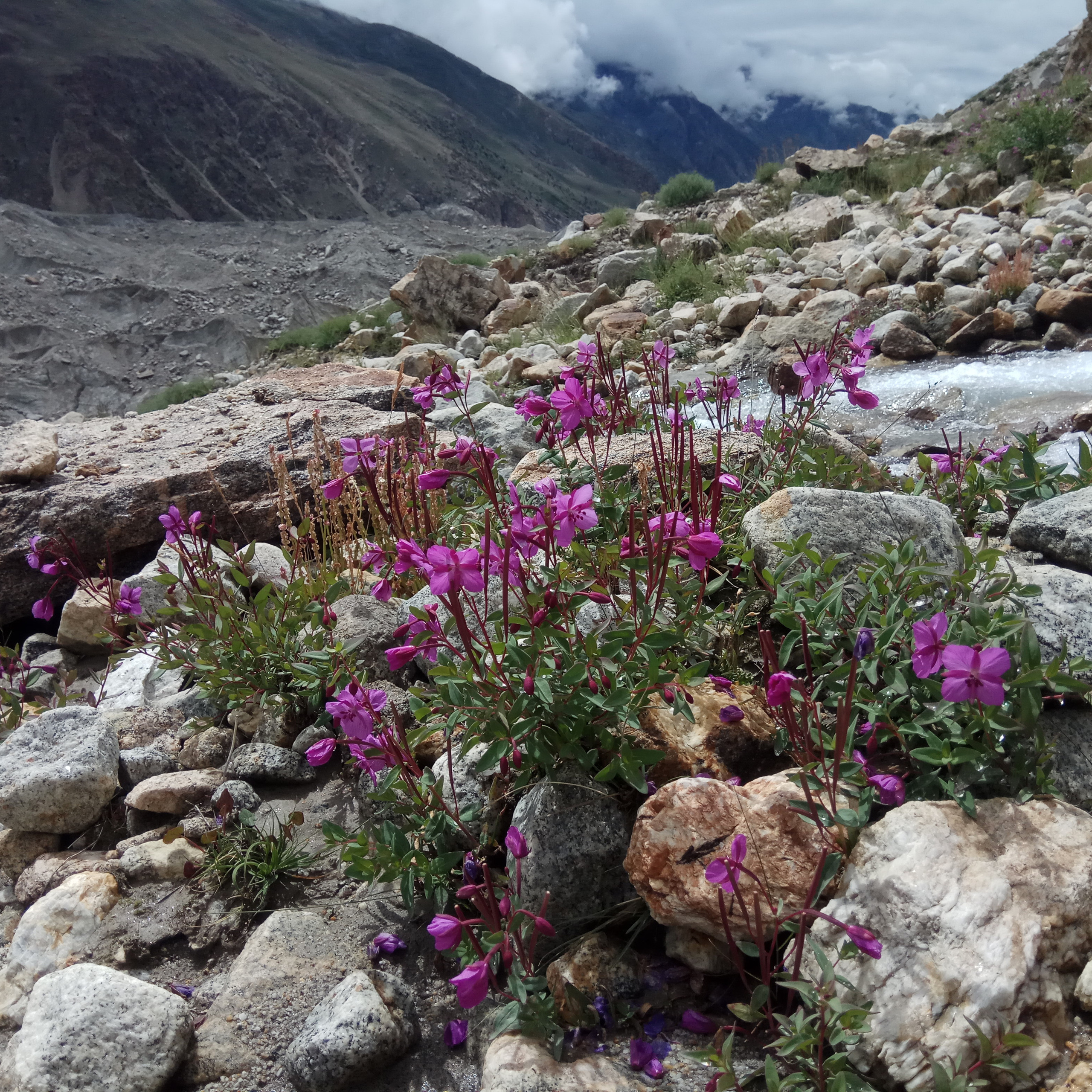 Пакистан 2019, путевые заметки, Лотфуллина Айгуль. Айгуль Лотфуллина. #АйгульТВ. Фотограф в Адлере и Сочи, Красной Поляне