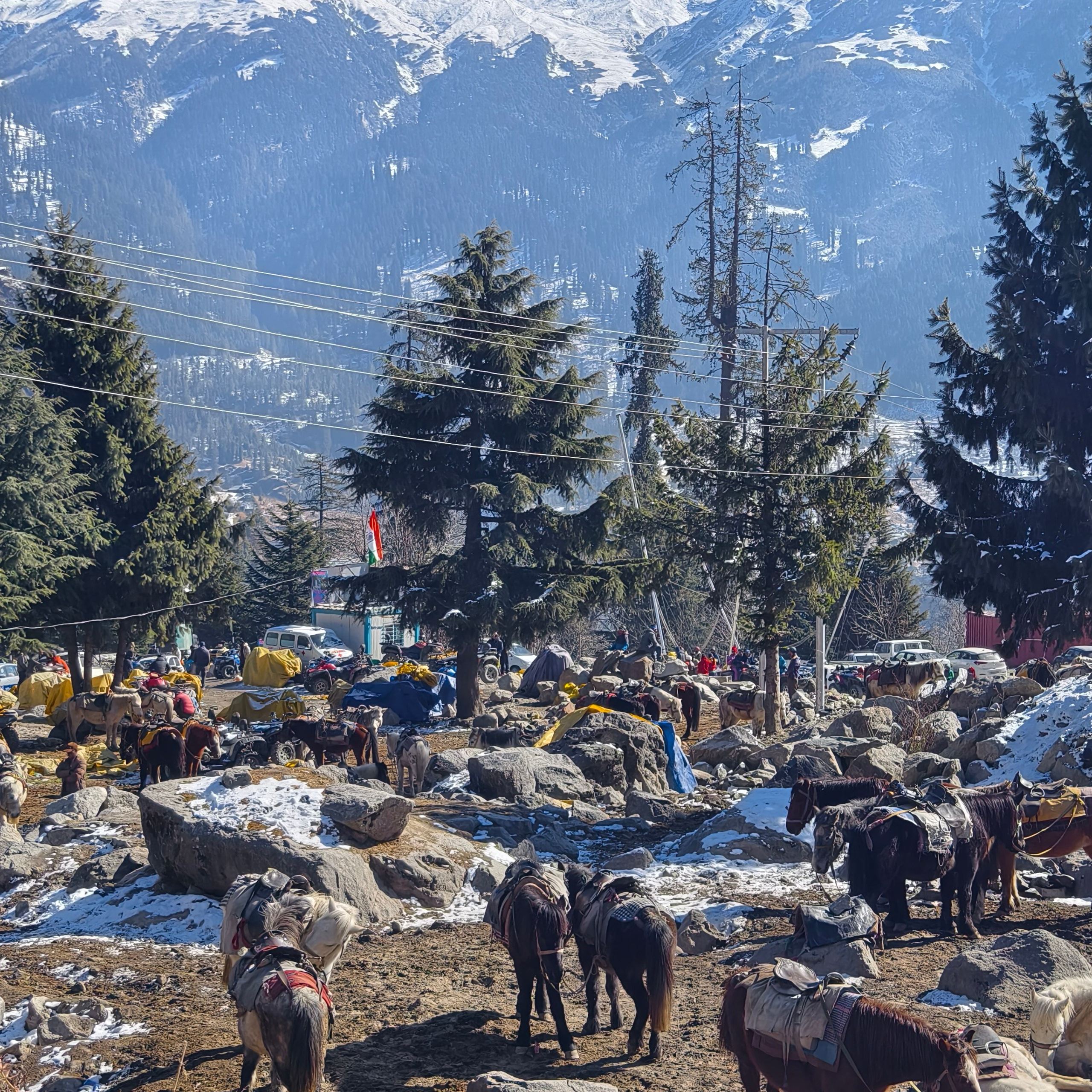 Путешествие в Долину Богов — Манали. Айгуль Лотфуллина. #АйгульТВ. Фотограф в Адлере и Сочи, Красной Поляне