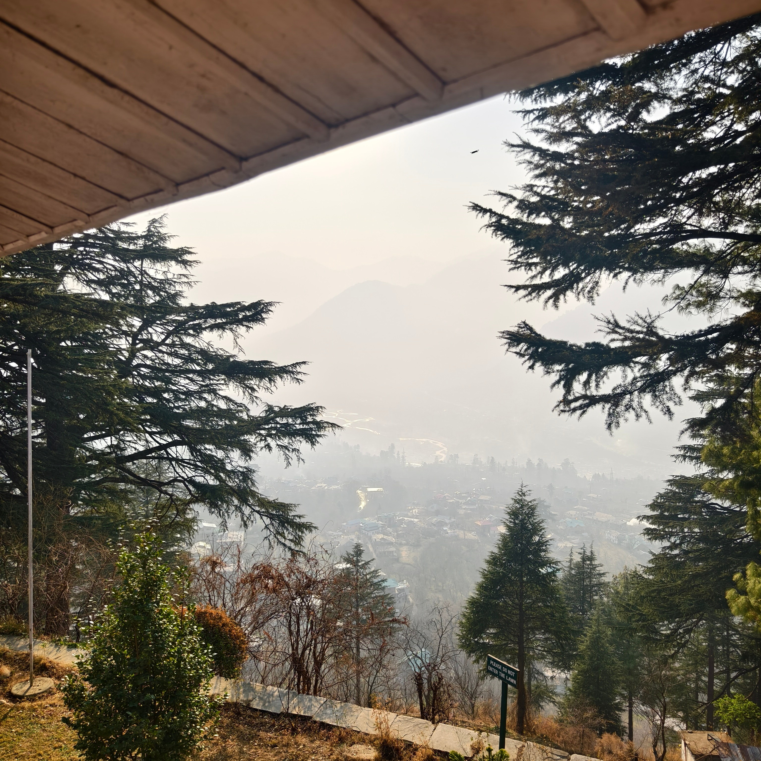 Путешествие в Долину Богов — Манали. Айгуль Лотфуллина. #АйгульТВ. Фотограф в Адлере и Сочи, Красной Поляне