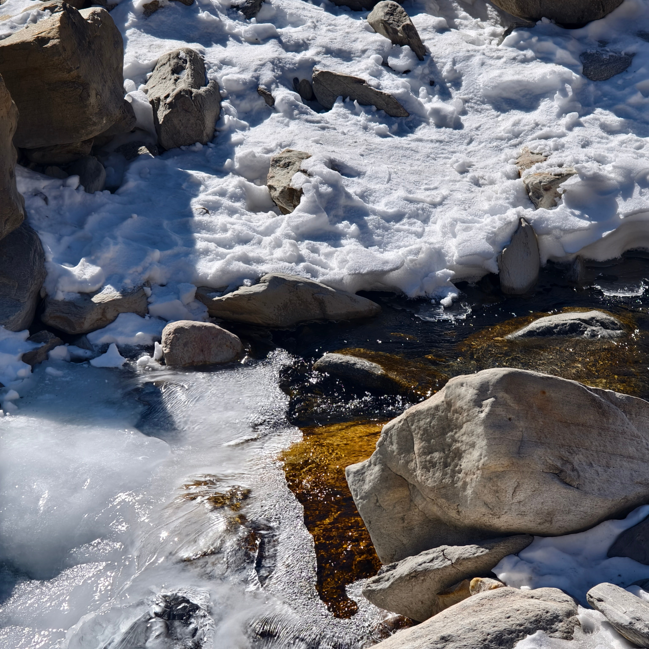 Путешествие в Долину Богов — Манали. Айгуль Лотфуллина. #АйгульТВ. Фотограф в Адлере и Сочи, Красной Поляне