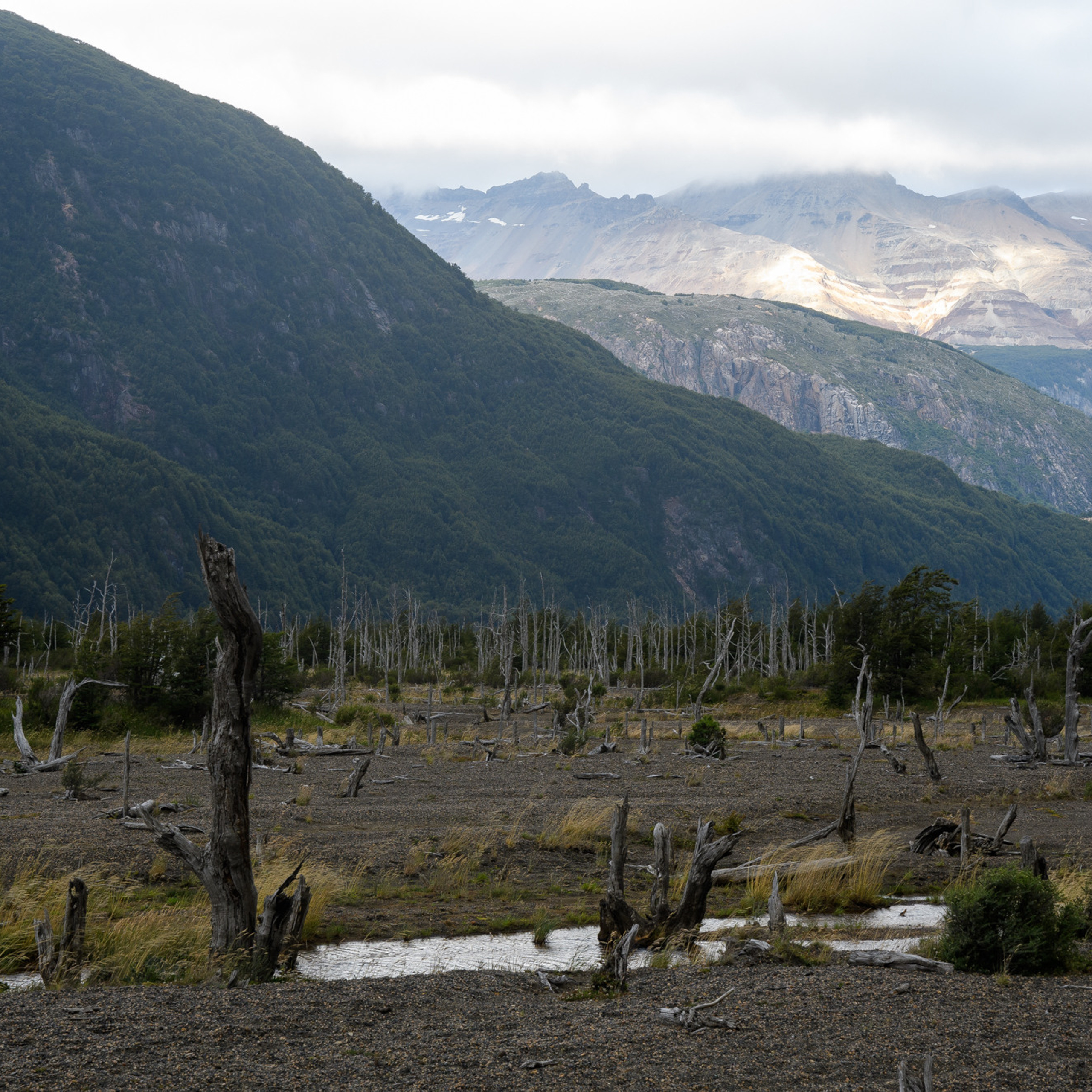 Патагония 2019. Айгуль Лотфуллина. #АйгульТВ. Фотограф в Адлере и Сочи, Красной Поляне