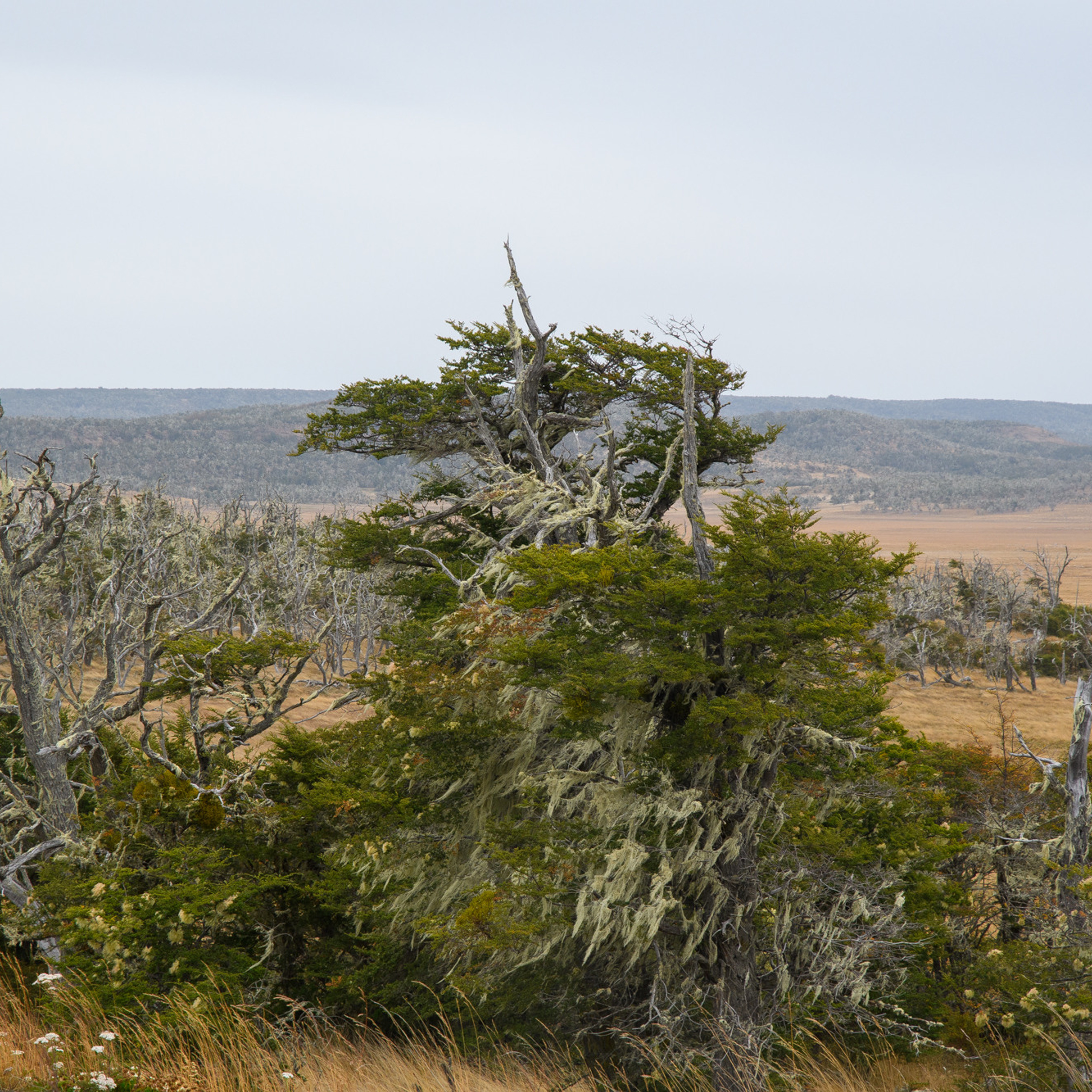 Патагония 2019. Айгуль Лотфуллина. #АйгульТВ. Фотограф в Адлере и Сочи, Красной Поляне