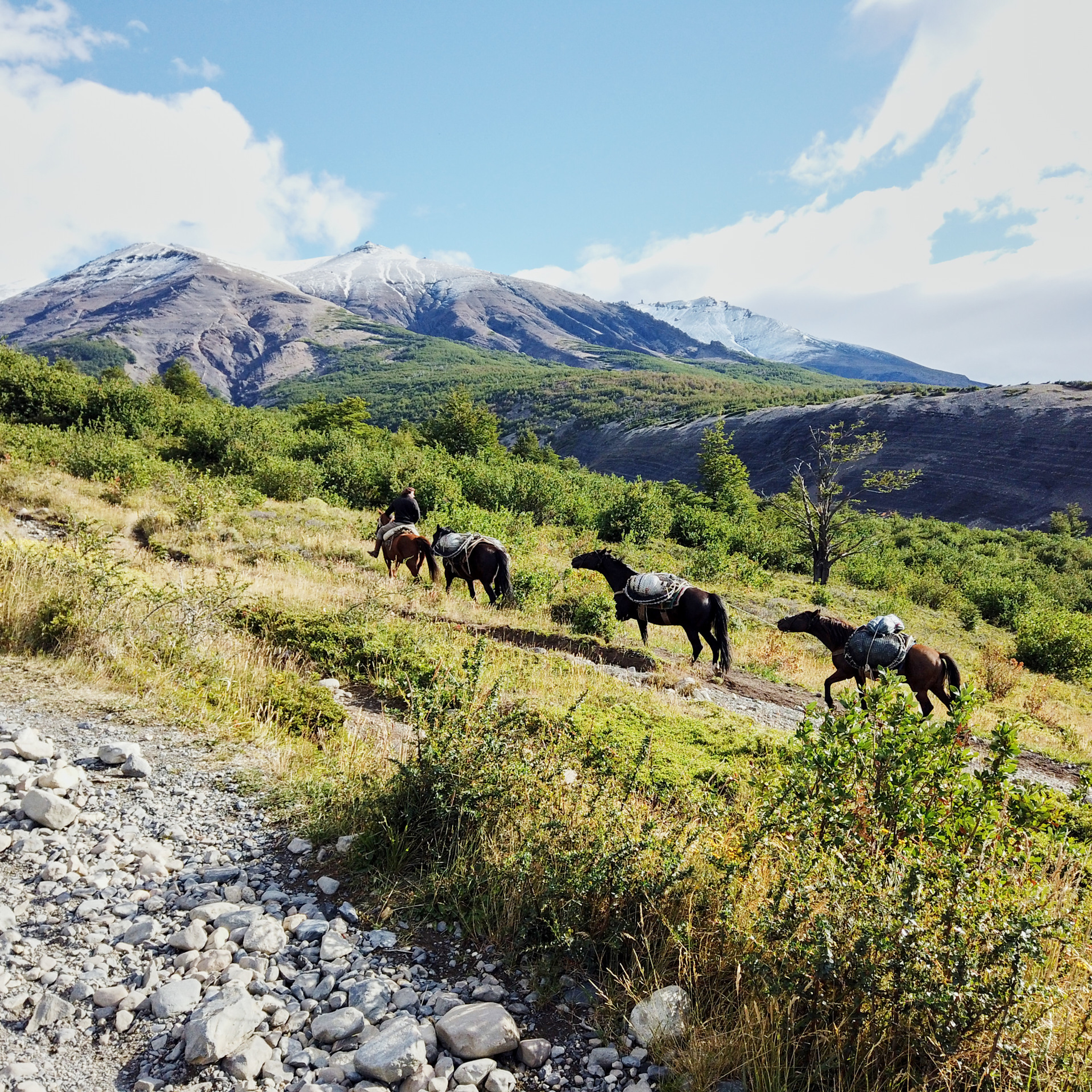 Патагония 2019. Айгуль Лотфуллина. #АйгульТВ. Фотограф в Адлере и Сочи, Красной Поляне