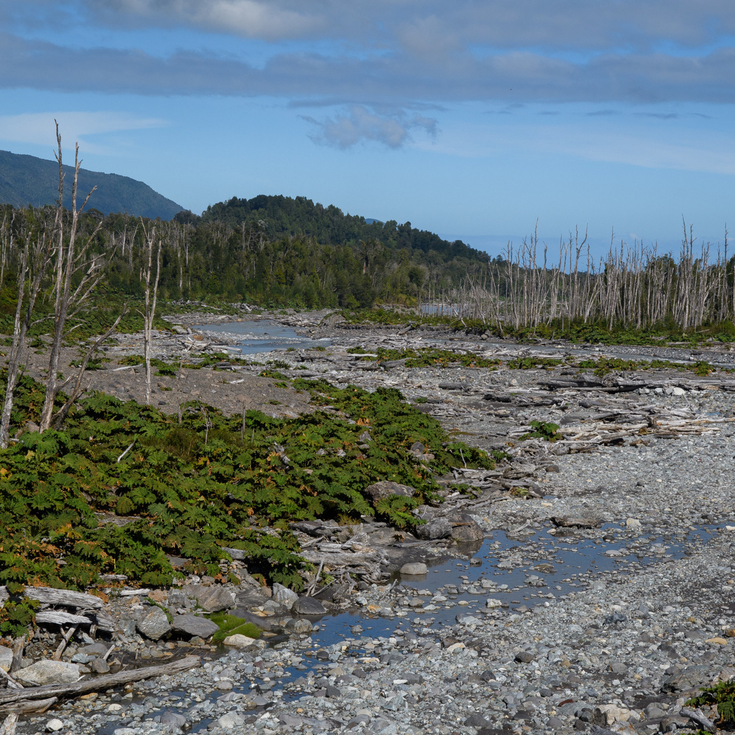 Патагония 2019. Айгуль Лотфуллина. #АйгульТВ. Фотограф в Адлере и Сочи, Красной Поляне