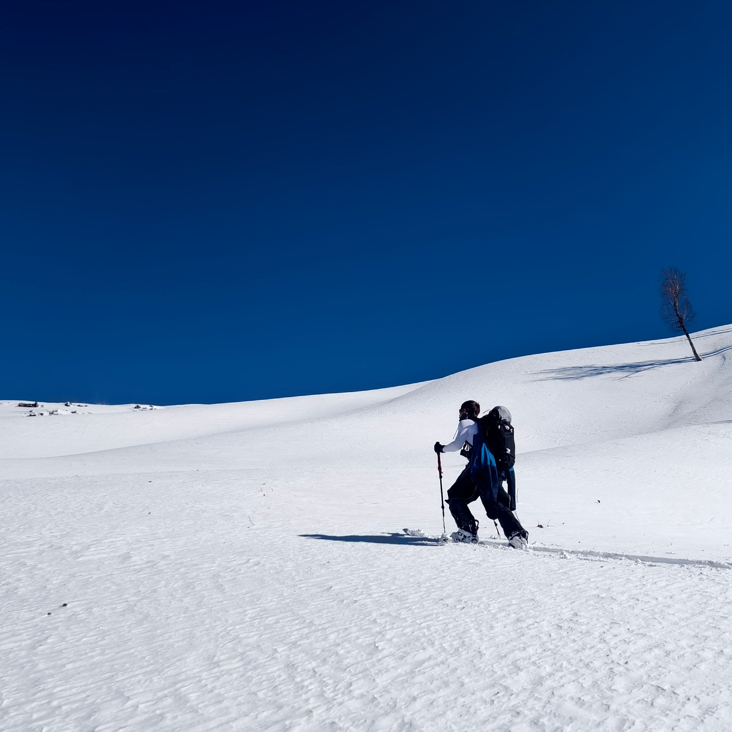 Путешествие в Долину Богов — Манали. Айгуль Лотфуллина. #АйгульТВ. Фотограф в Адлере и Сочи, Красной Поляне