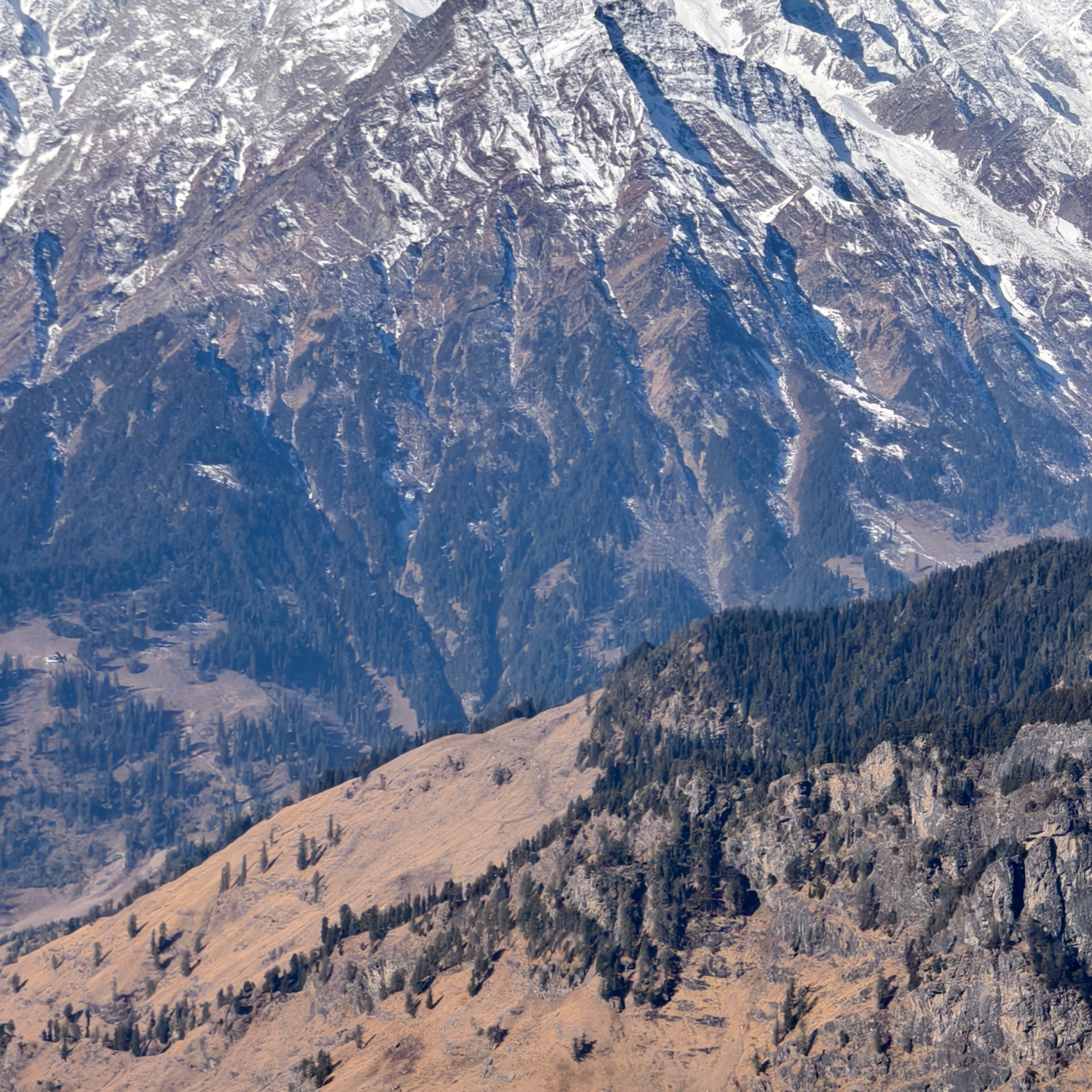 Путешествие в Долину Богов — Манали. Айгуль Лотфуллина. #АйгульТВ. Фотограф в Адлере и Сочи, Красной Поляне