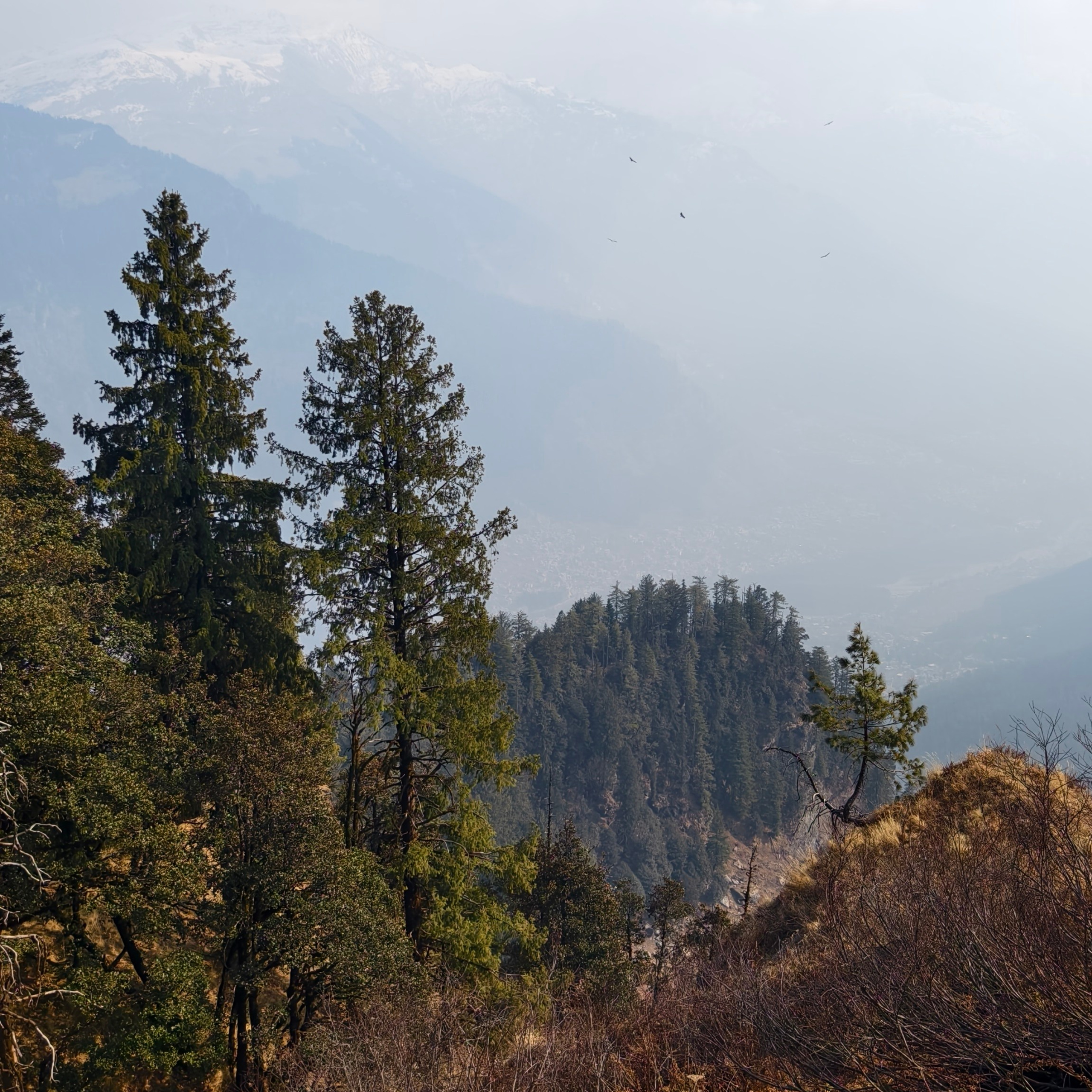 Путешествие в Долину Богов — Манали. Айгуль Лотфуллина. #АйгульТВ. Фотограф в Адлере и Сочи, Красной Поляне